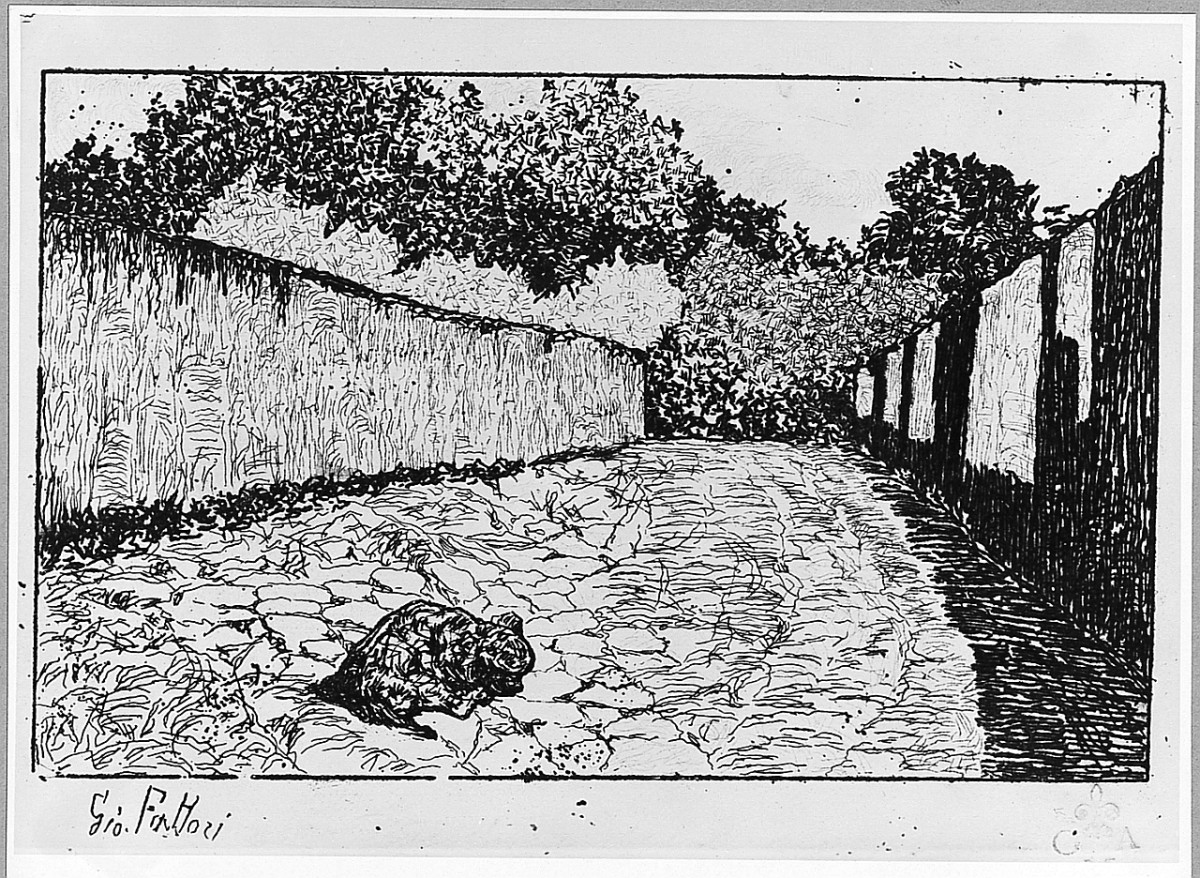 paesaggio (stampa) di Fattori Giovanni (sec. XX)