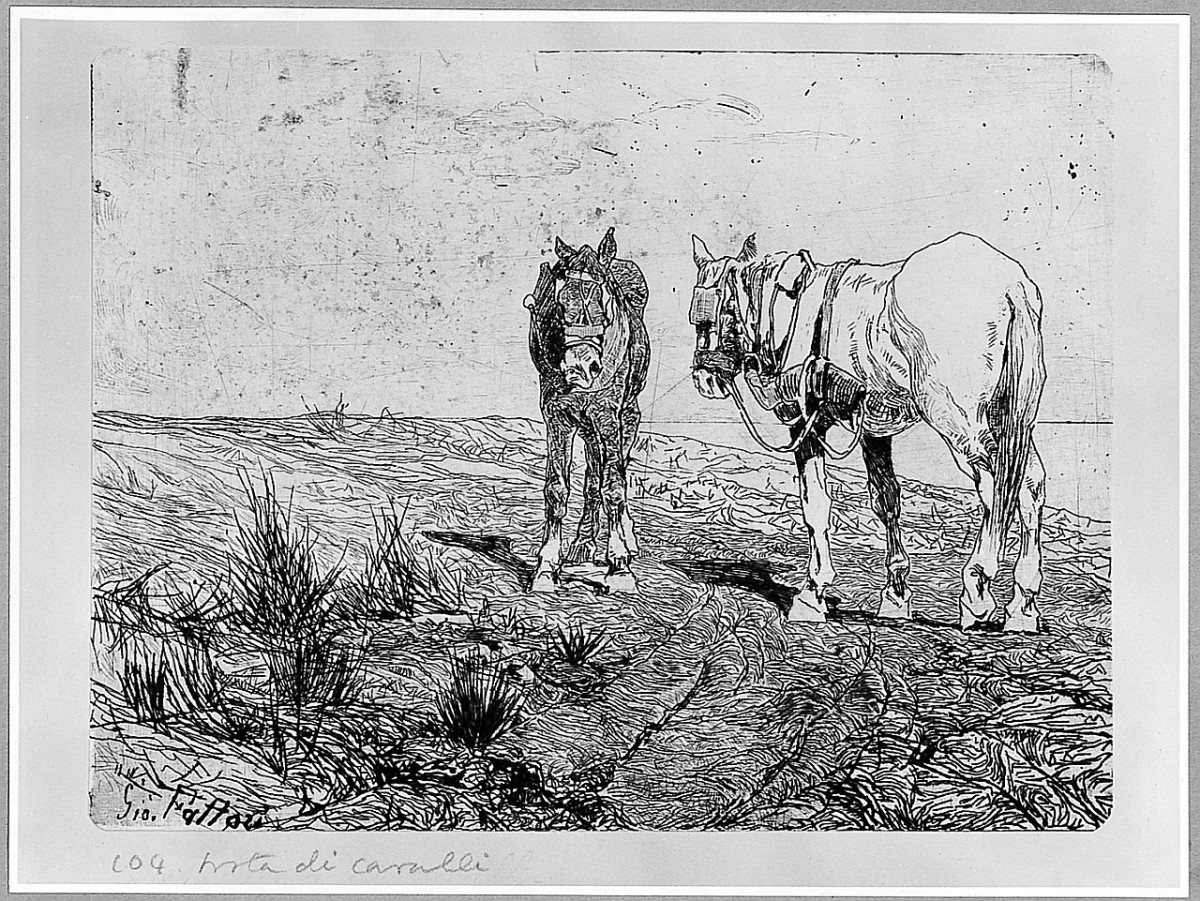 animali (stampa) di Fattori Giovanni (sec. XIX)