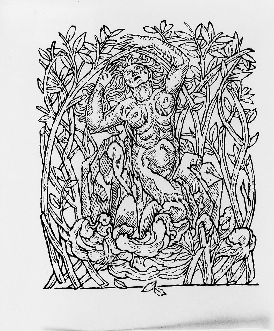 figura femminile (stampa) di De Witt Antonio Paolo (sec. XX)