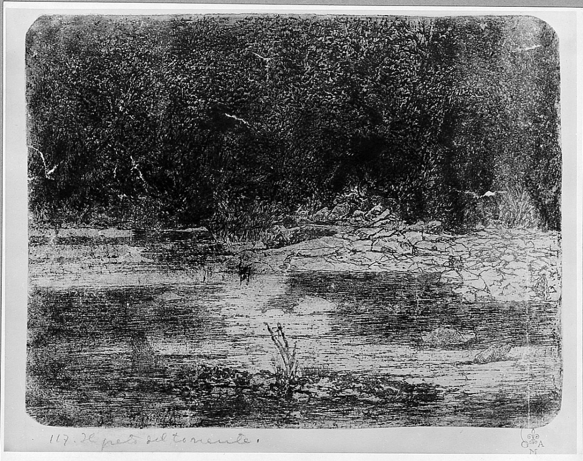 paesaggio (stampa) di Fattori Giovanni (sec. XIX)