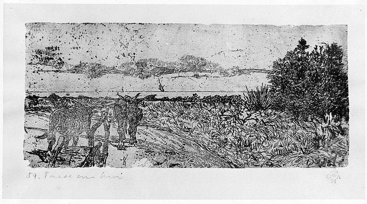 paesaggio (stampa) di Fattori Giovanni (secc. XIX/ XX)