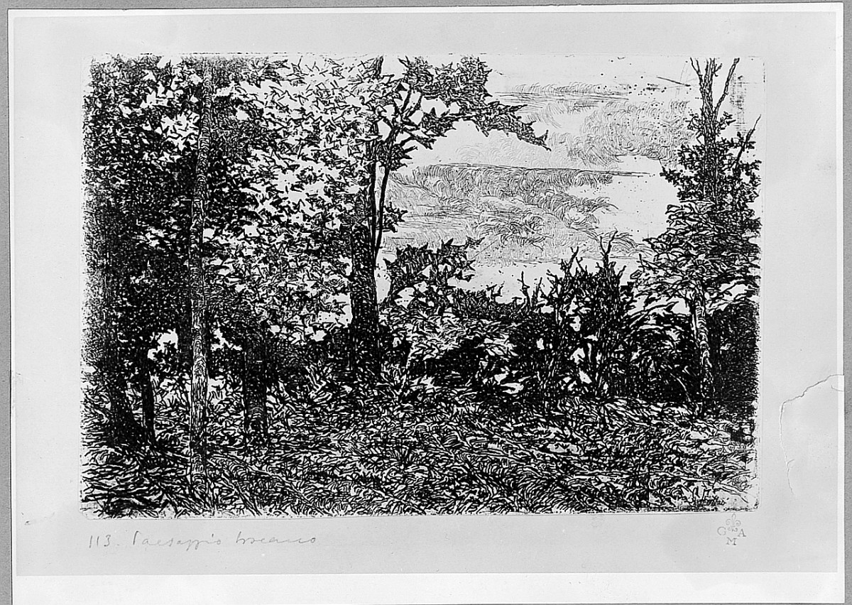 paesaggio (stampa) di Fattori Giovanni (sec. XIX)