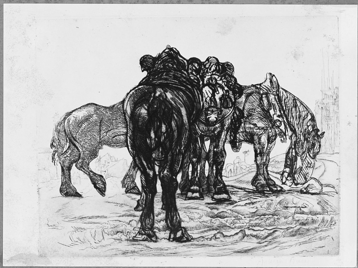 animali (stampa) di Bucci Anselmo (sec. XX)