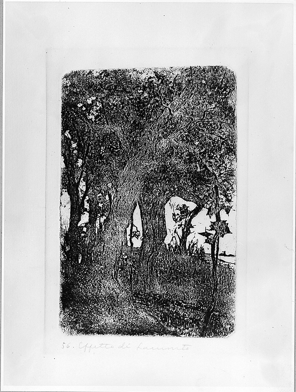 paesaggio (stampa) di Fattori Giovanni (sec. XX)