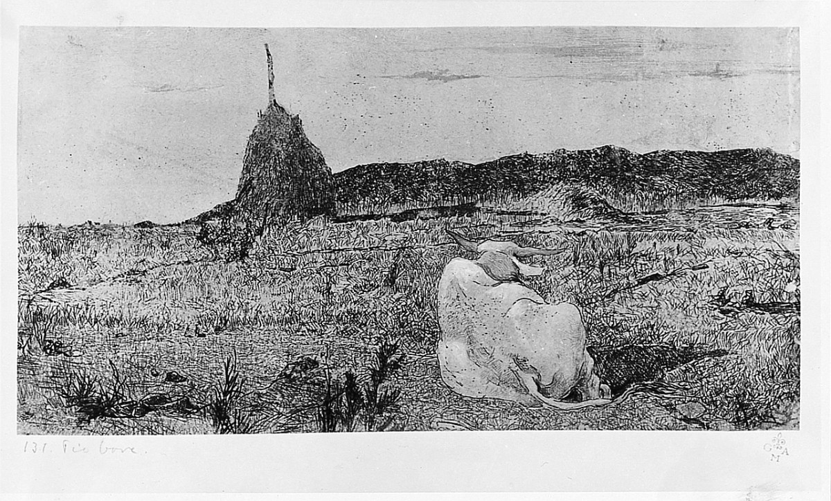 animali (stampa) di Fattori Giovanni (sec. XX)