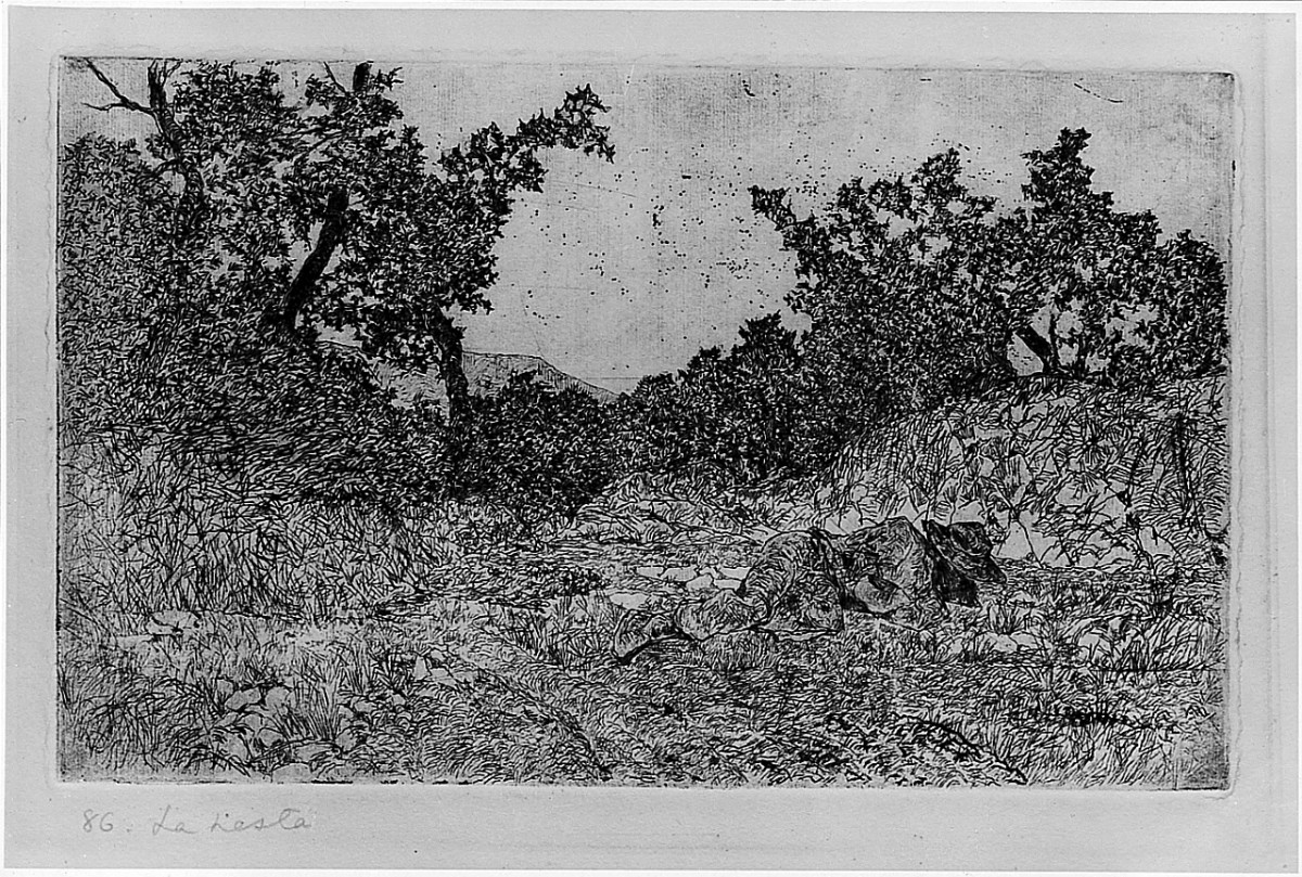 paesaggio (stampa) di Fattori Giovanni (sec. XIX)