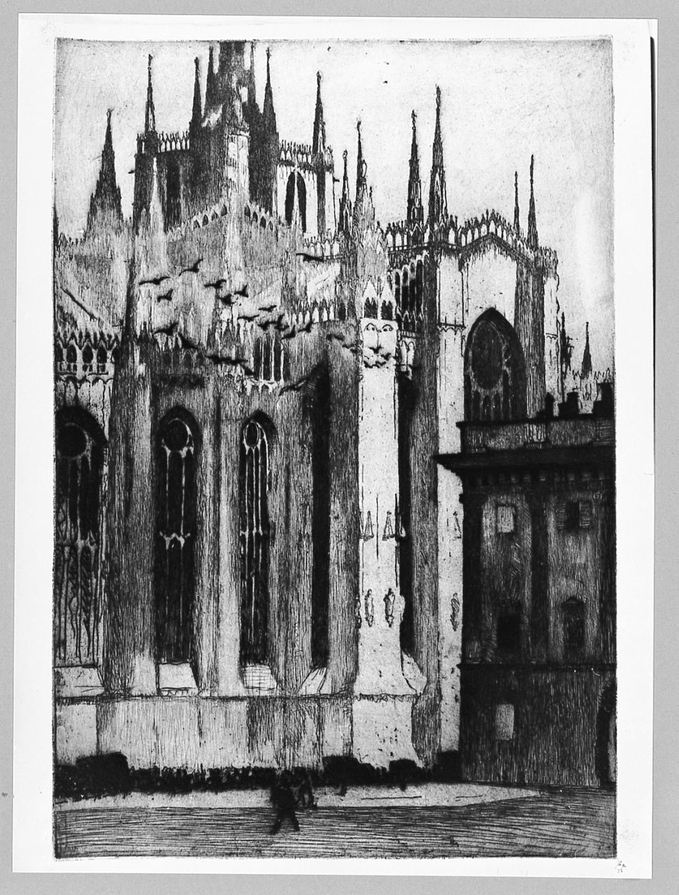 Il Duomo di Milano (stampa) di Chiappelli Francesco (prima metà sec. XX)