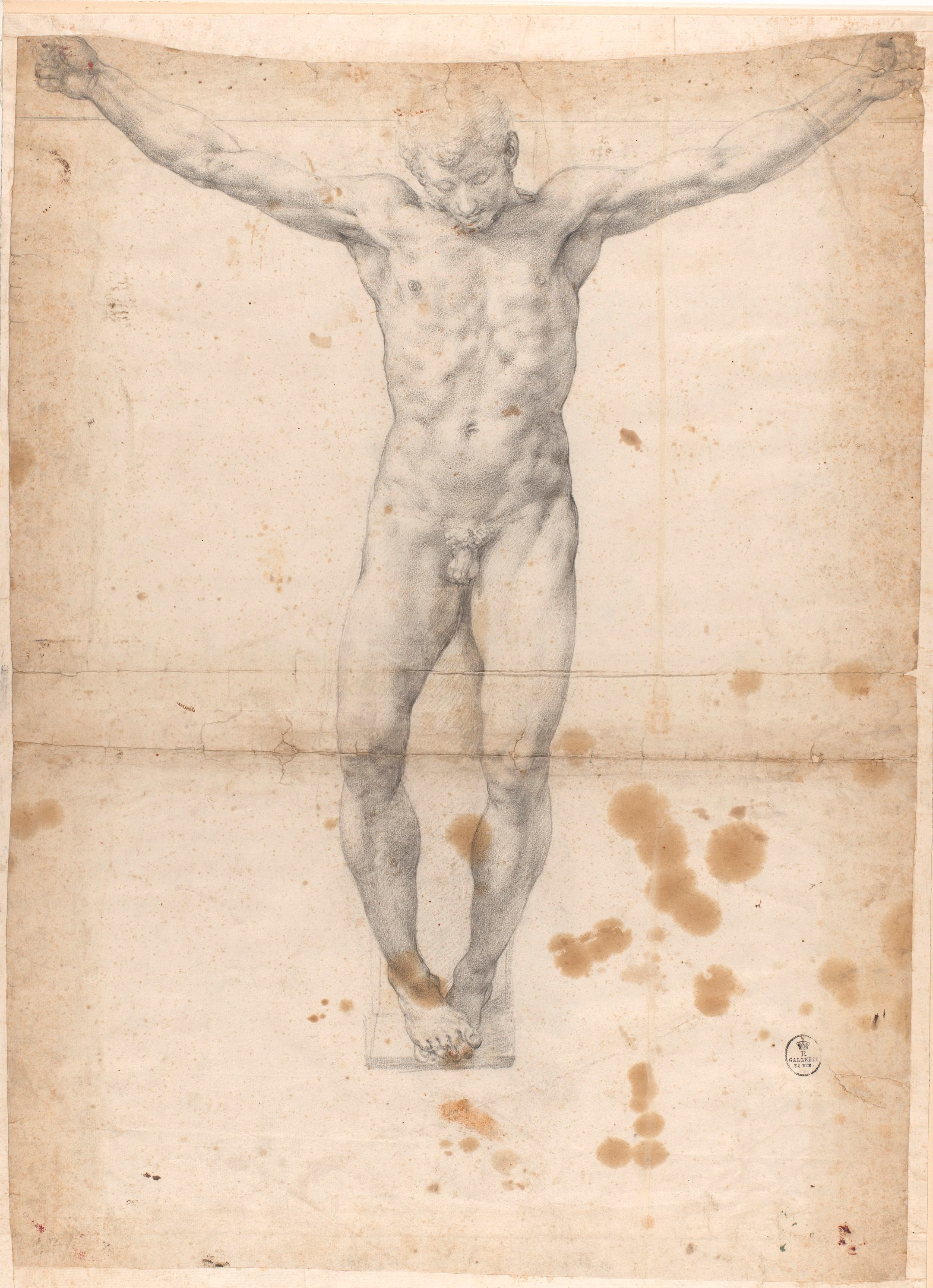 Studio per Cristo crocifisso (disegno) di Allori Alessandro (terzo quarto sec. XVI)