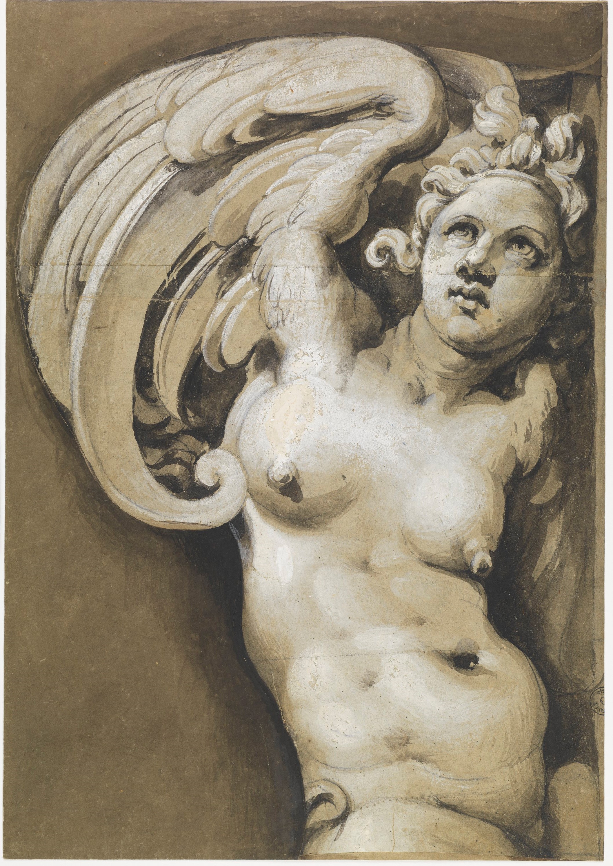Cariatide (disegno) di Tibaldi Pellegrino detto Pellegrini (metà XVI)