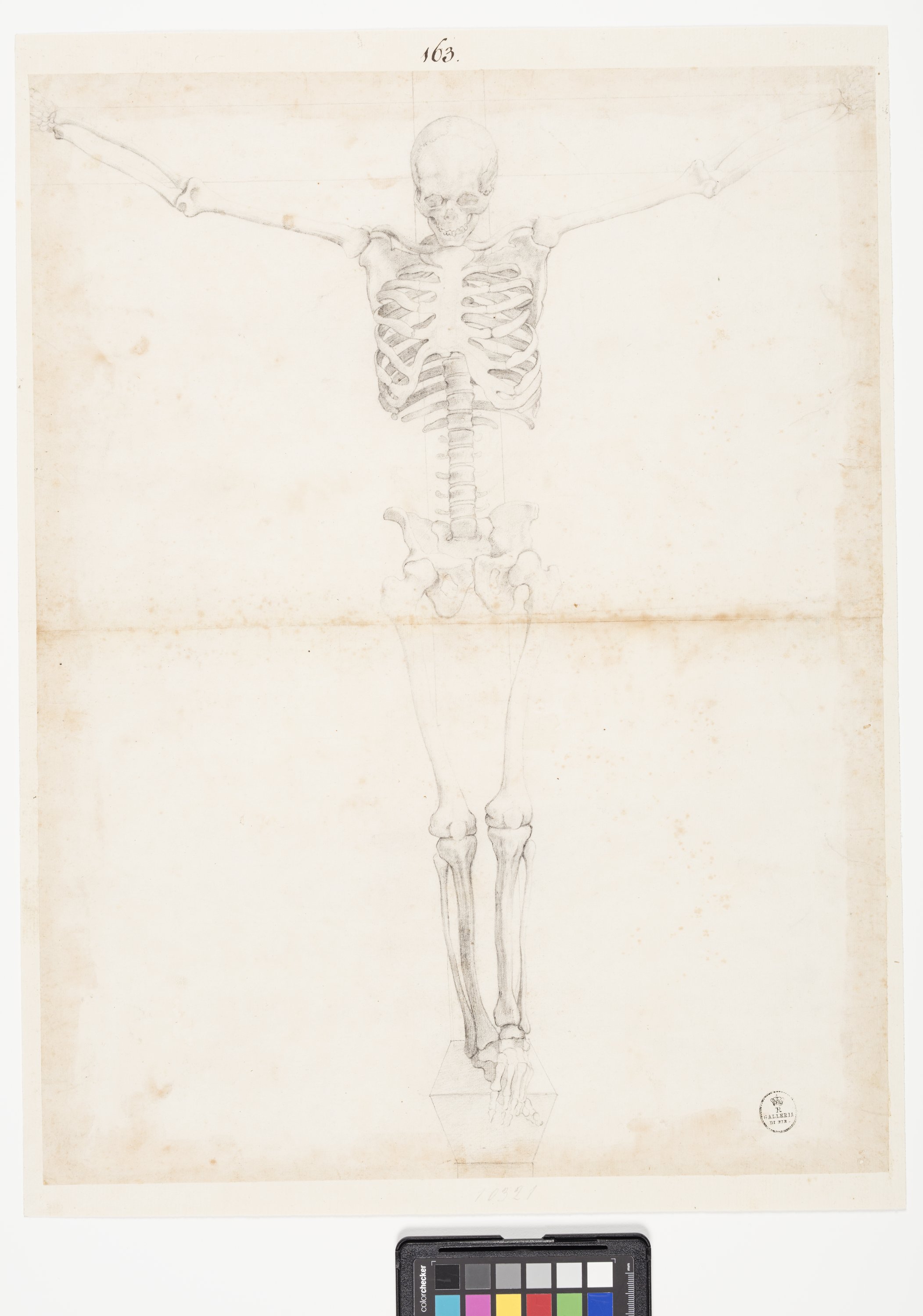 Studio di uno scheletro umano crocifisso (disegno) di Allori Alessandro (terzo quarto sec. XVI)