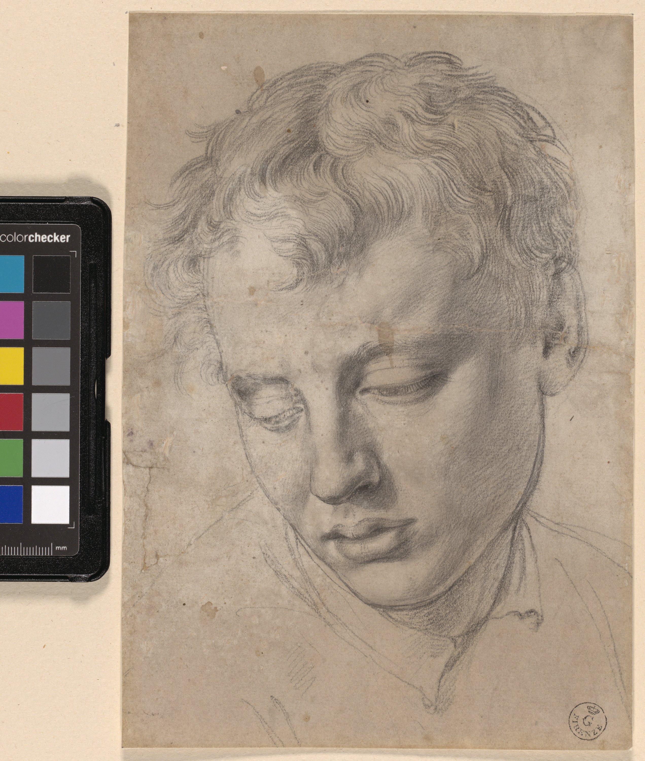 testa di giovane di tre quarti a sinistra (disegno) di Allori Alessandro (ultimo quarto sec. XVI)