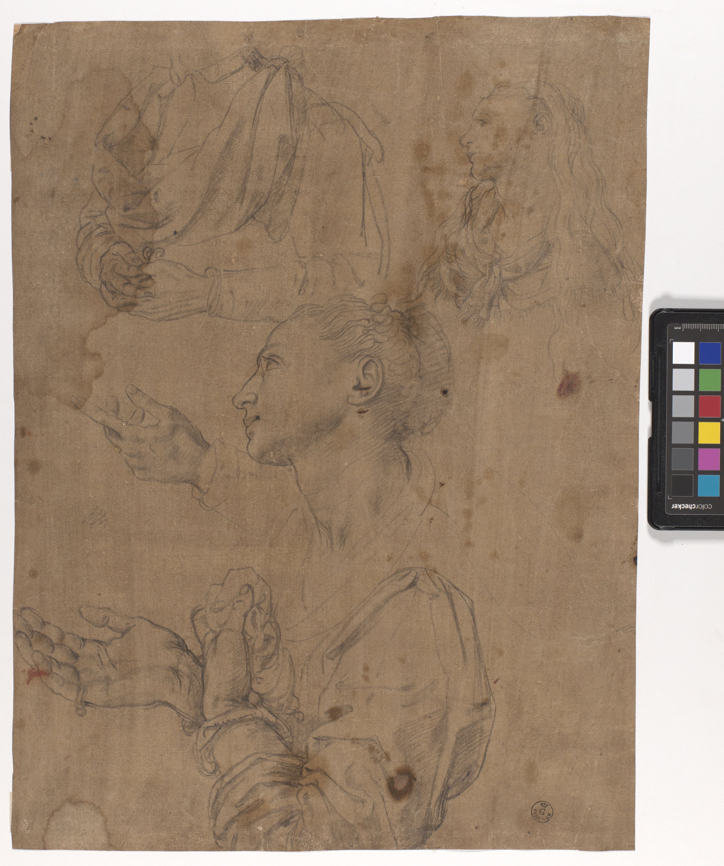 Due studi di figura femminile e uno maschile; studi di mani (disegno) di Allori Alessandro (ultimo quarto sec. XVI)