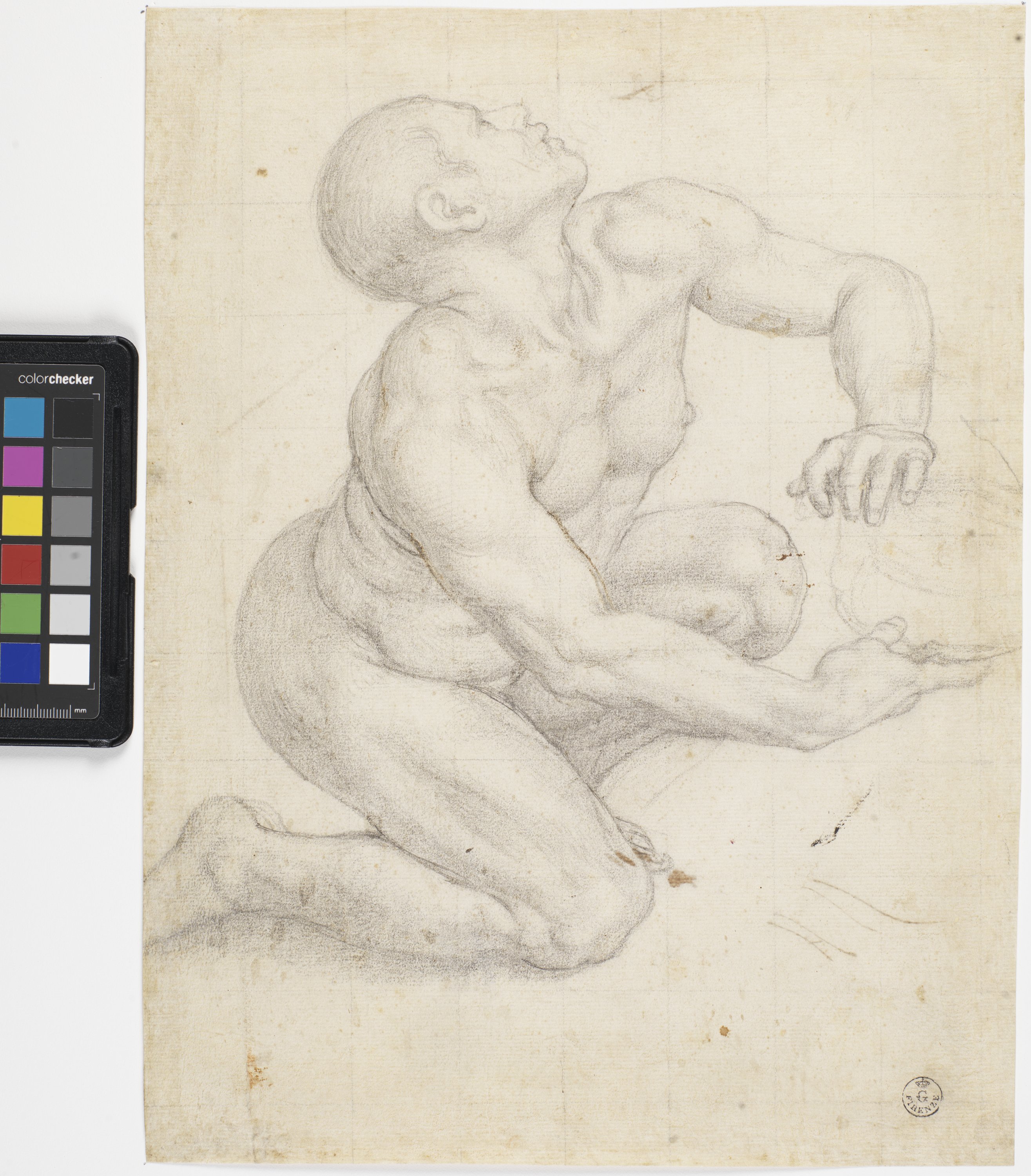 figura maschile inginocchiata di profilo con una tazza in mano (disegno) di Allori Agnolo detto Bronzino (sec. XVI)