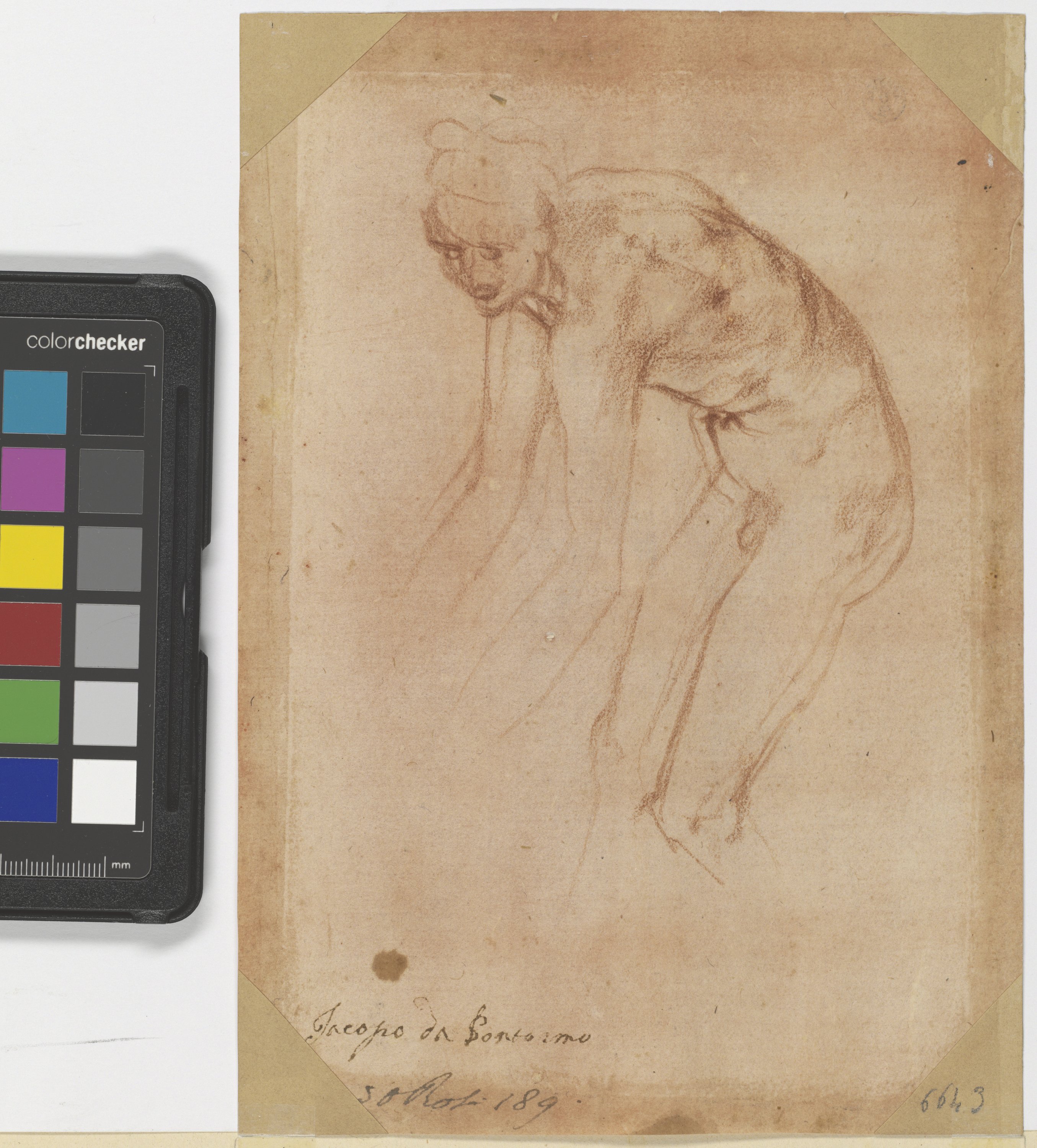 Studio di gambe maschili (r.), Studio di figura maschile nuda piegata in avanti (v.) (disegno) di Carucci Jacopo detto Pontormo (secondo quarto XVI)