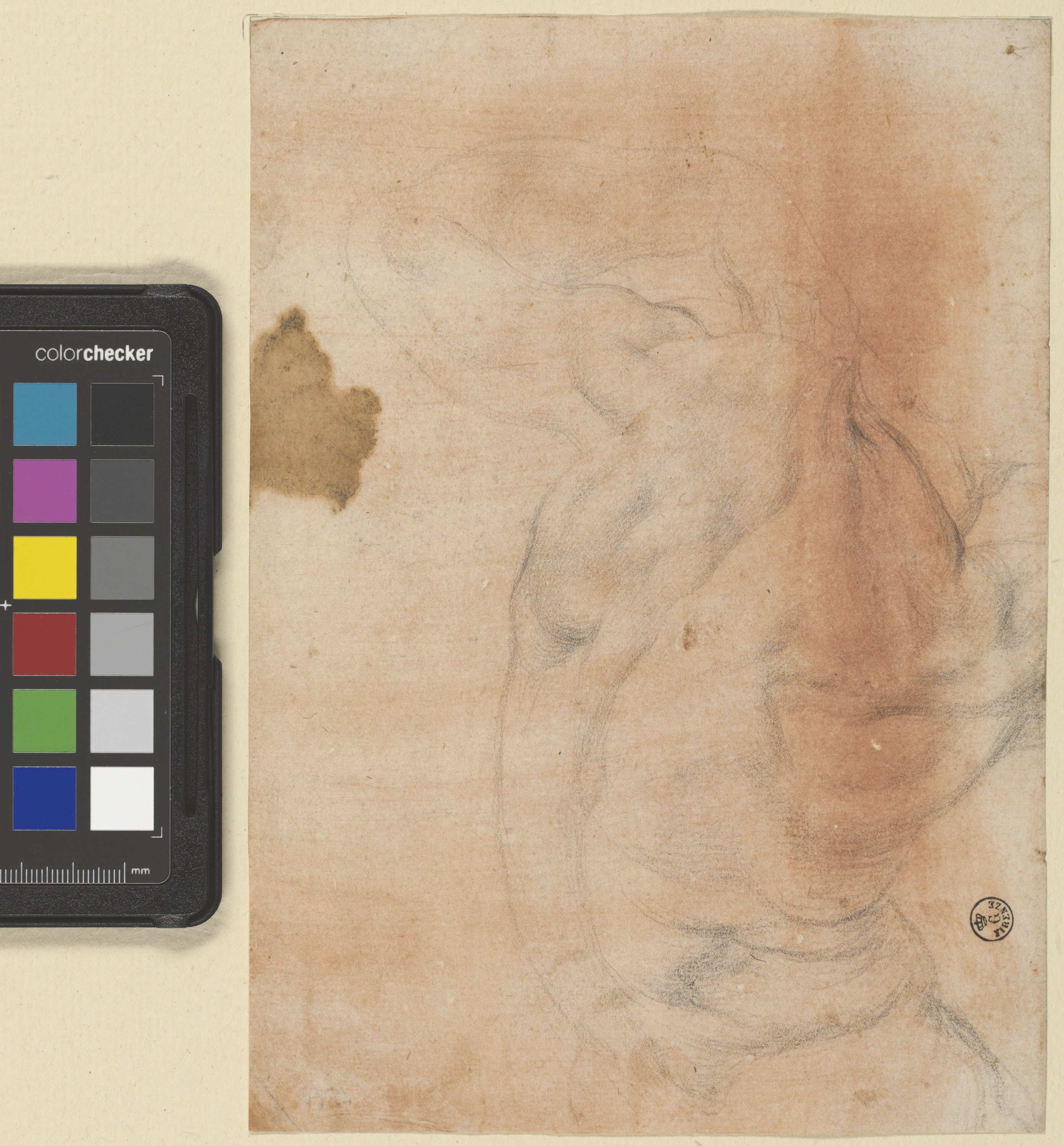 Studio di torso maschile di spalle (disegno) di Carucci Jacopo detto Pontormo (secondo quarto XVI)