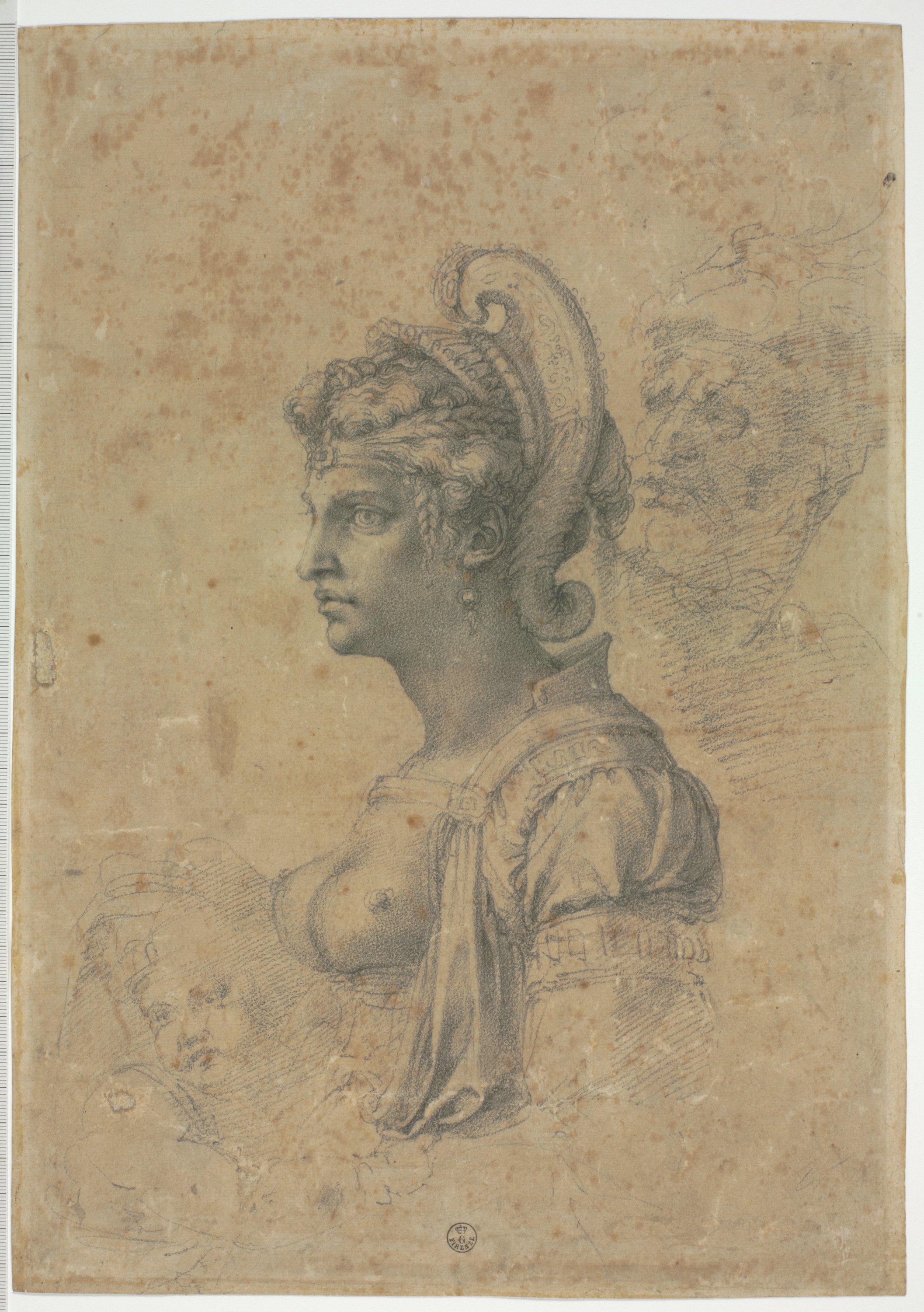 busto di donna di profilo a sinistra con elmetto, testa di vecchio con barba (v.), studi di testa di uomo anziano, di teschi, genitali maschili (r.) (disegno) di Buonarroti Michelangelo (prima metà XVI)