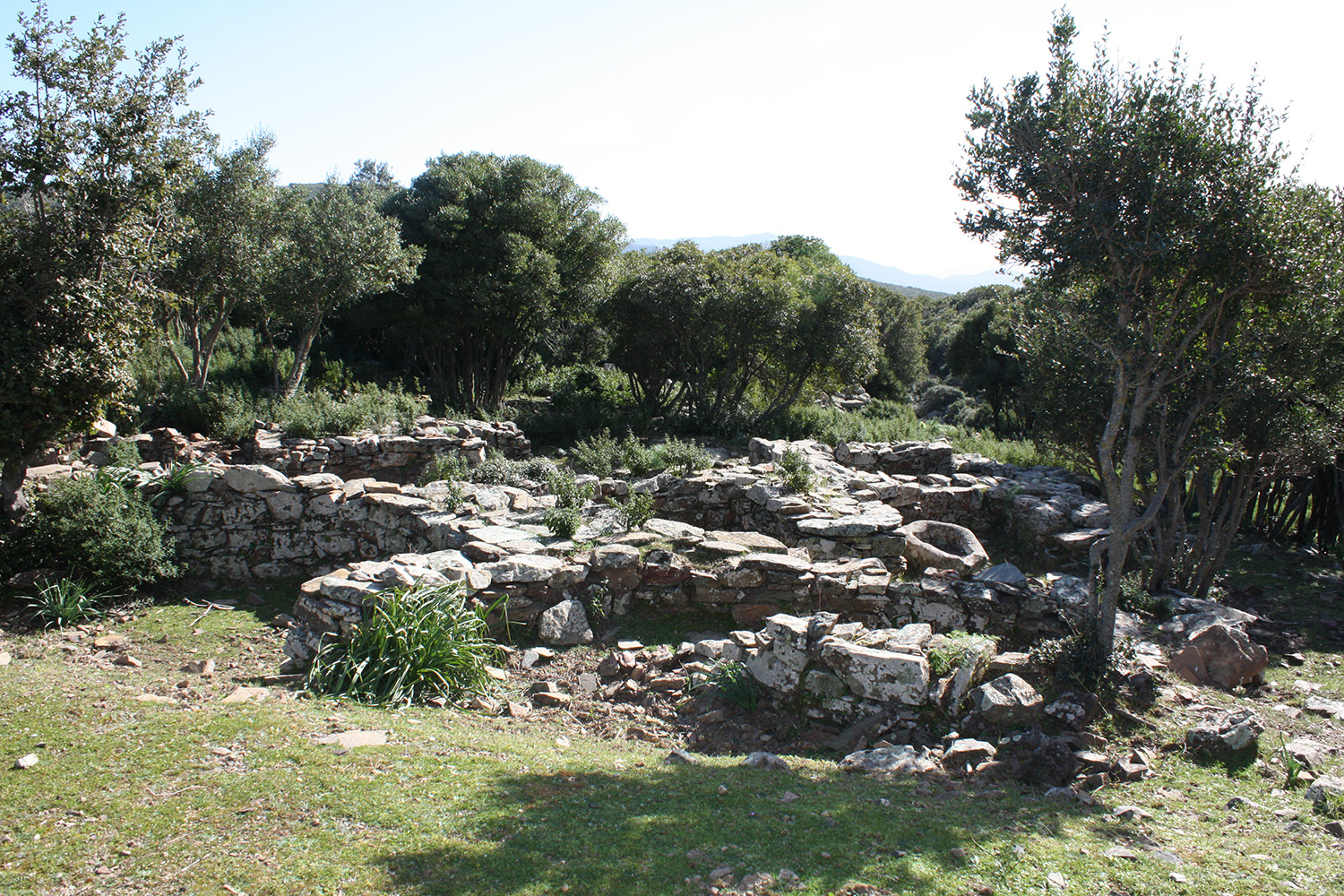 Insediamento cea romana (villaggio/necropoli, insediamento/area ad uso funerario)