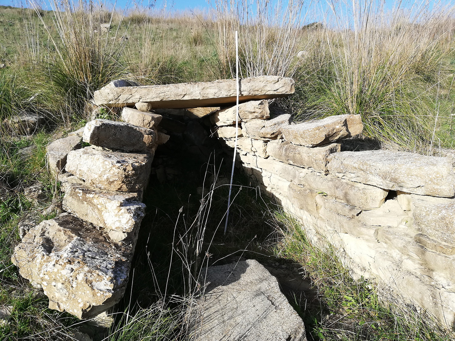 Tombe dei giganti di muttas nieddas (necropoli, area ad uso funerario)