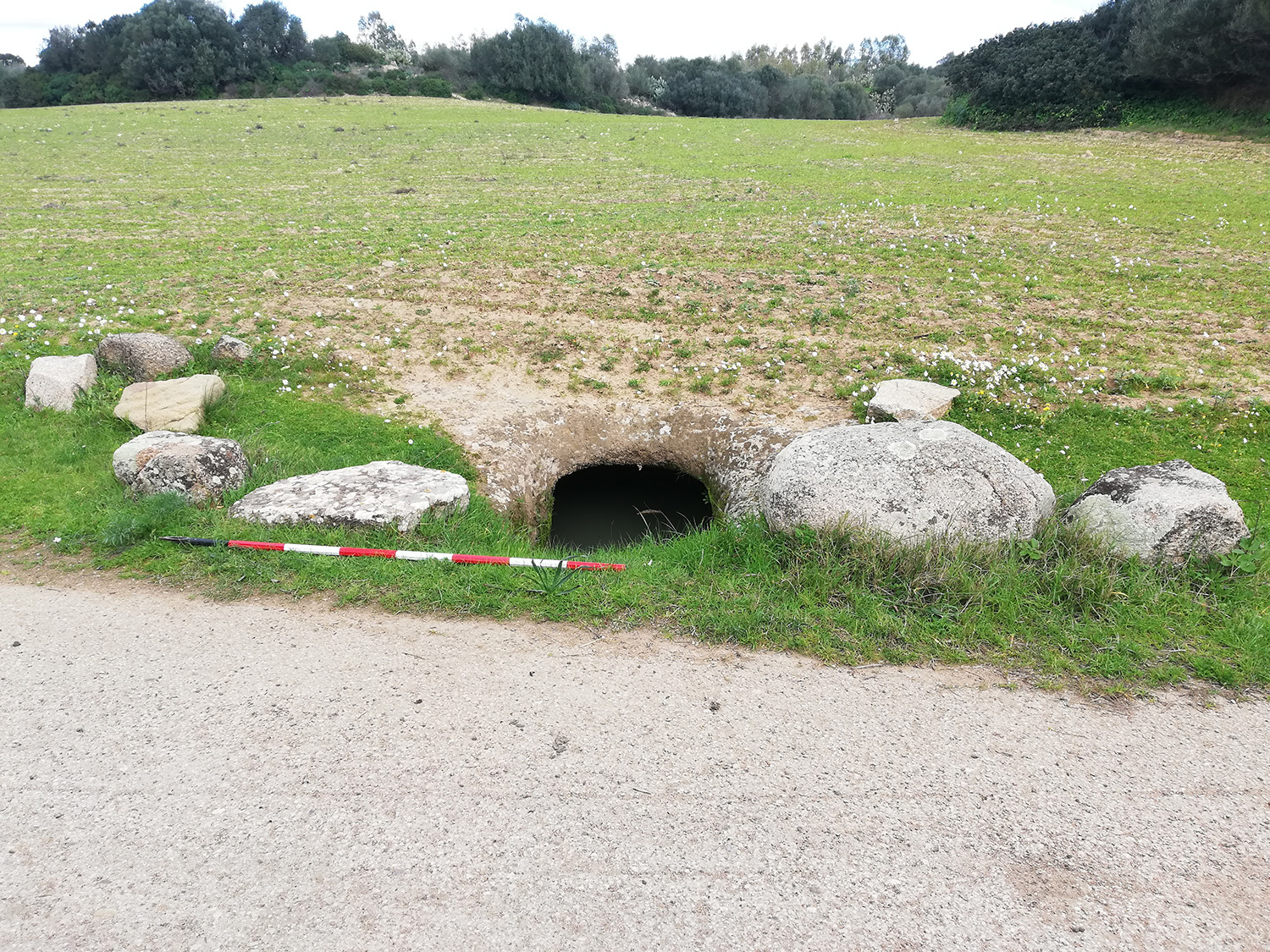 Domus de janas corongiu ii (tomba rupestre, area ad uso funerario)