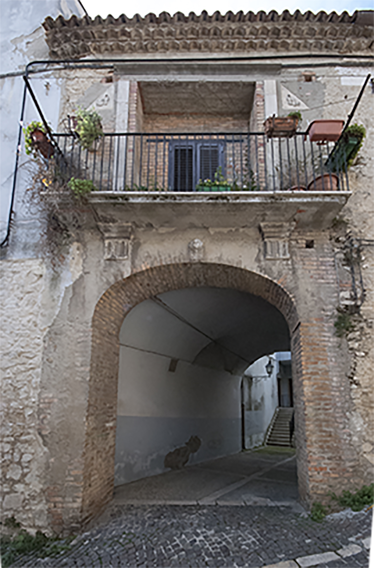 Palazzo Bochicchio (palazzo, privato) - Forenza (PZ) 