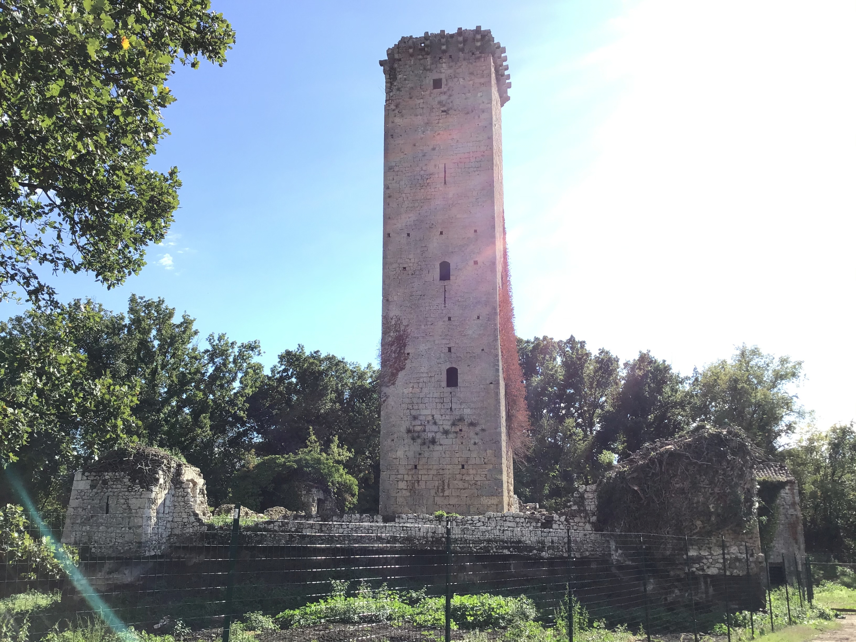 [Fortino con torre in Contrada Torre del Piano] (fortino) - Piglio (FR)  (XII)