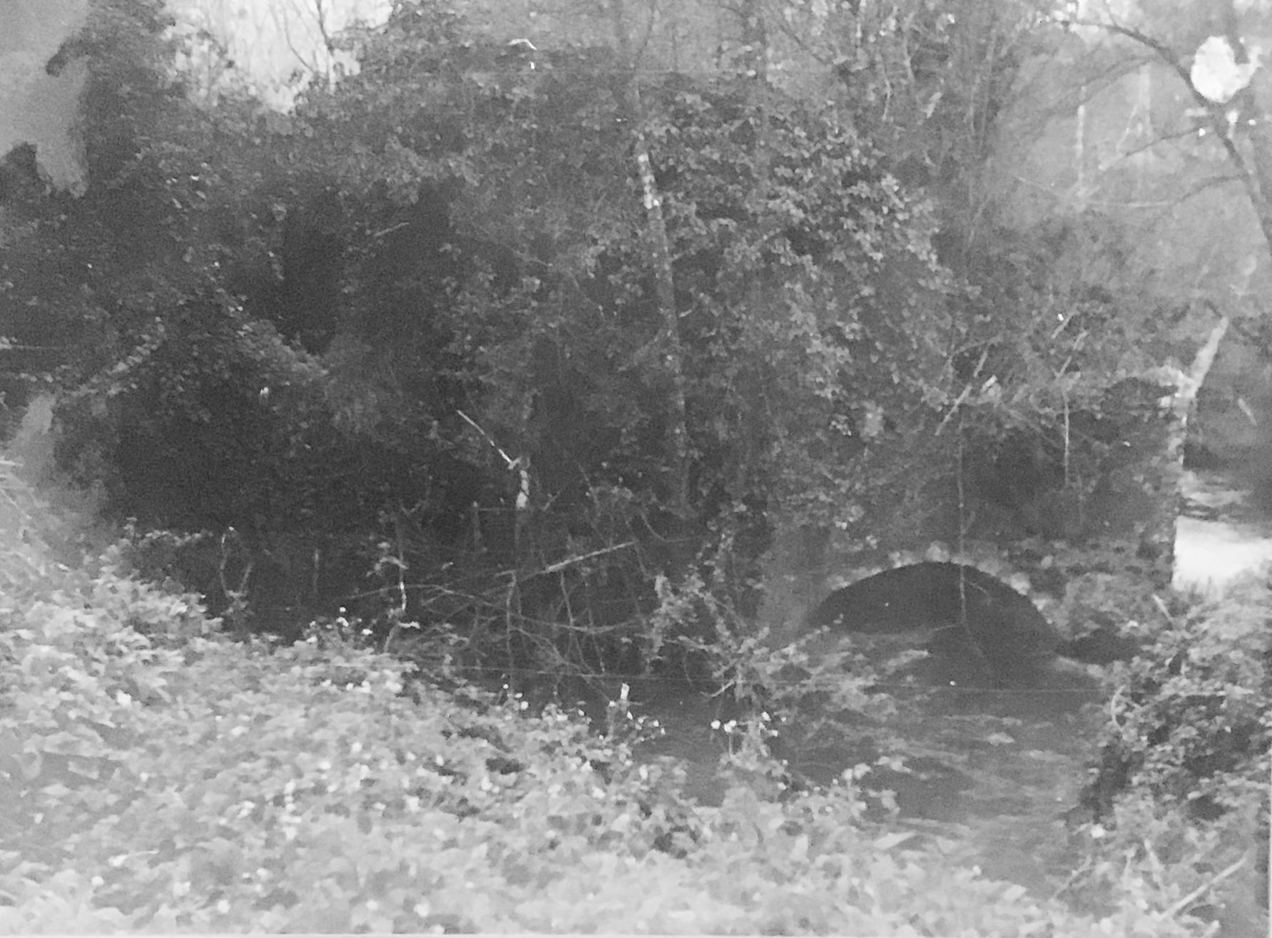 Mola S. Maria (mulino, ad acqua) - Pontecorvo (FR) 