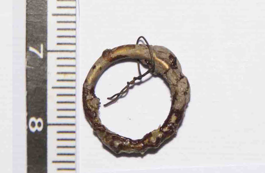 Anello/ crinale