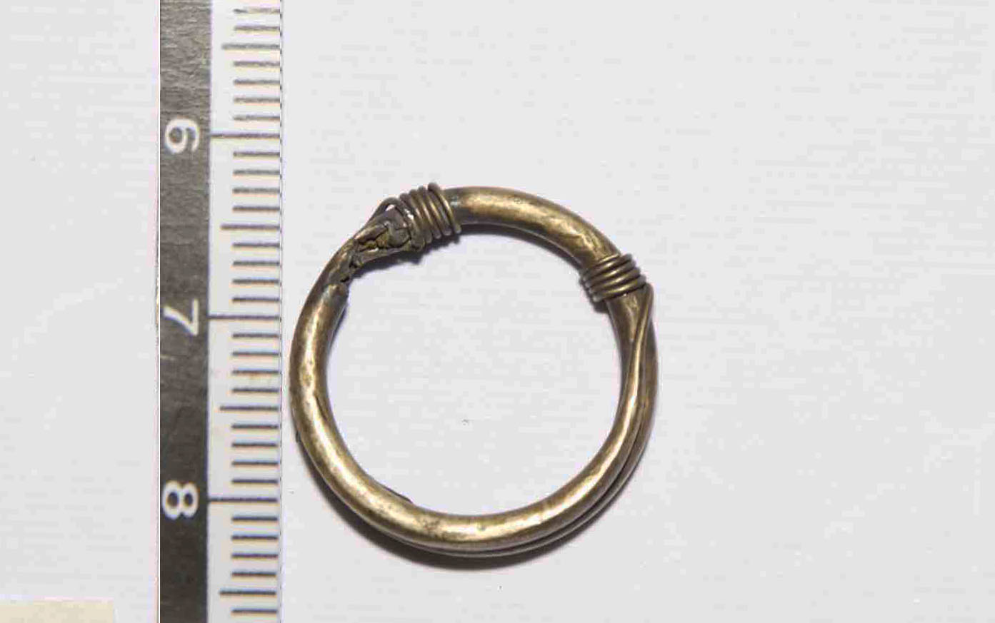 Anello/ crinale