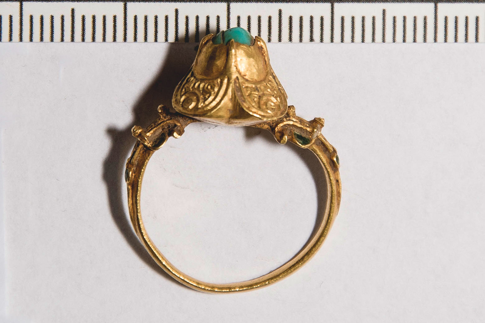 Anello/ digitale