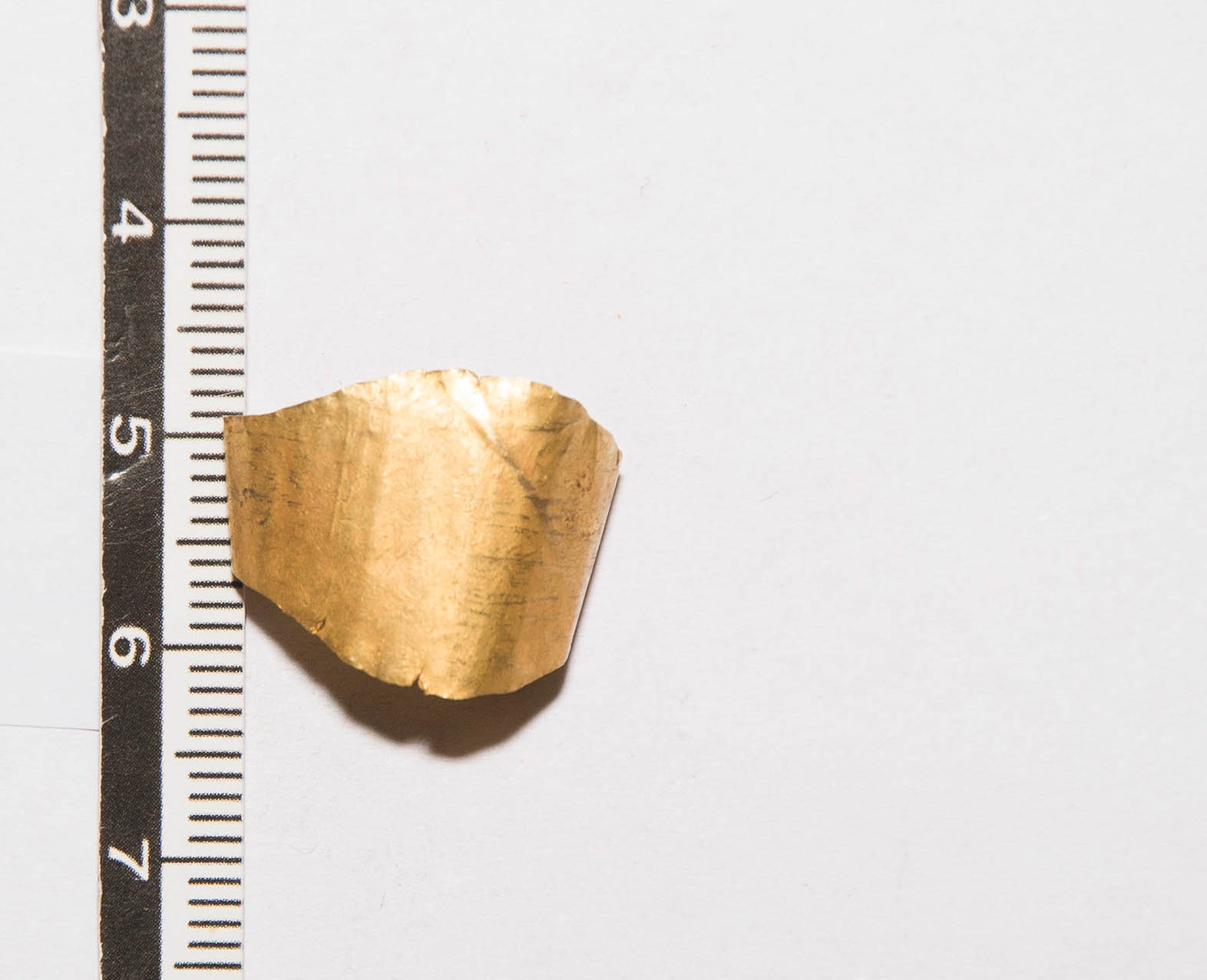 Anello/ digitale