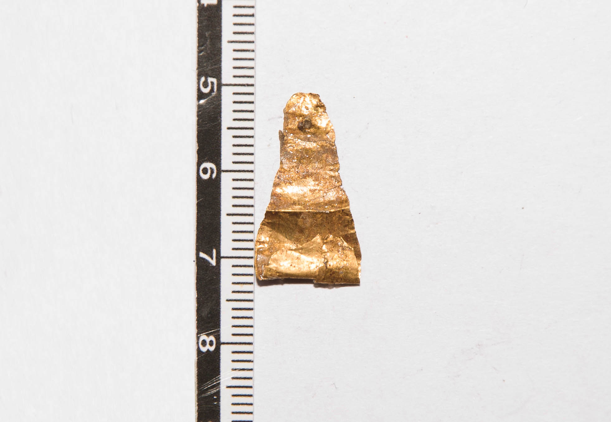 Anello/ digitale