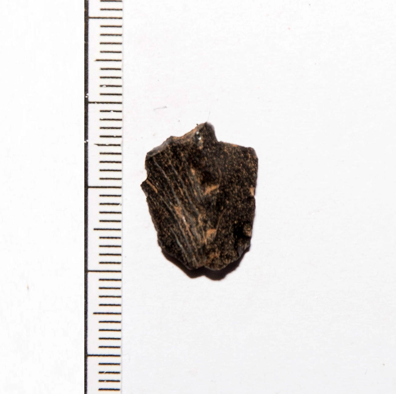 Scheggia