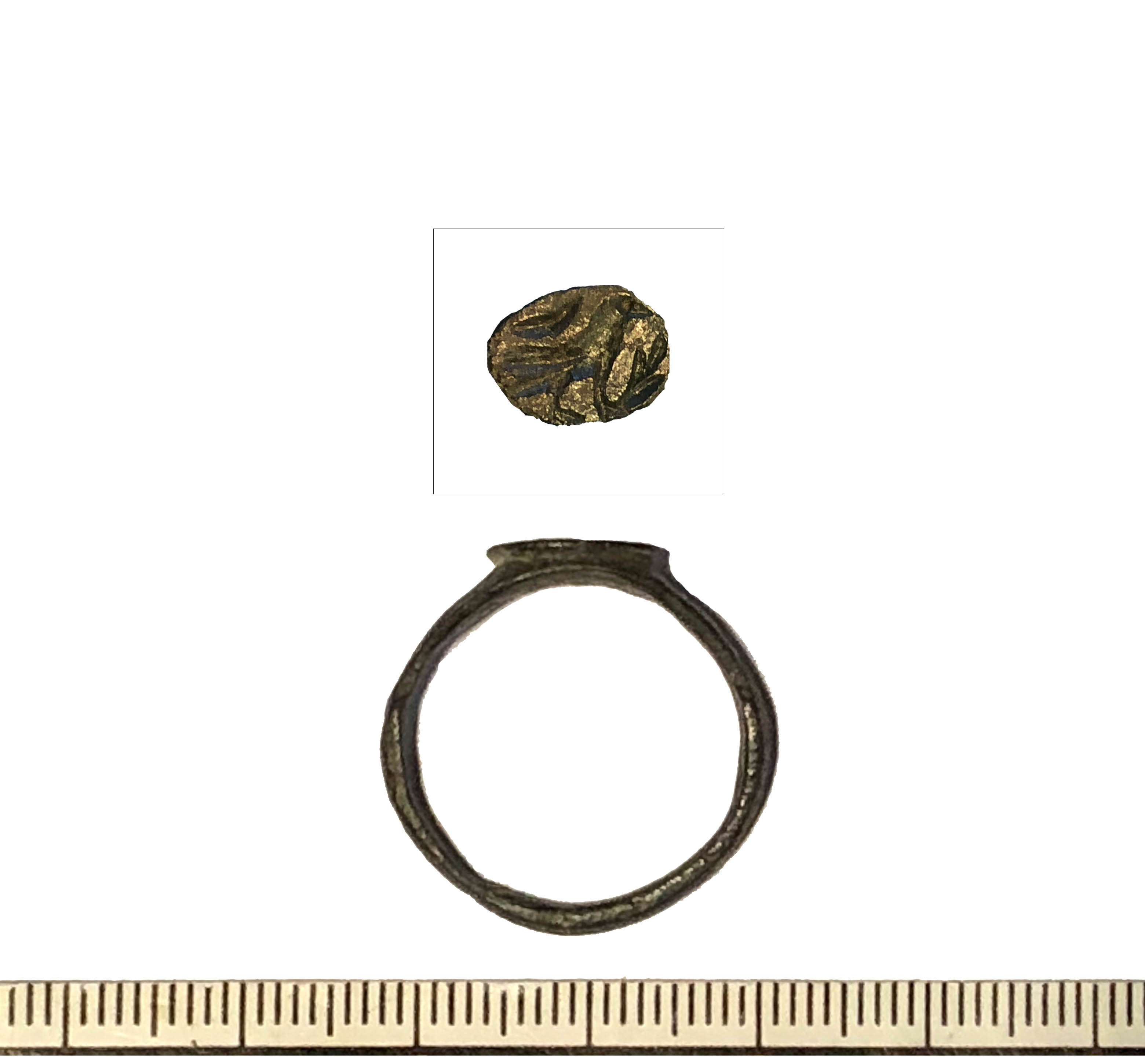 Anello/ digitale