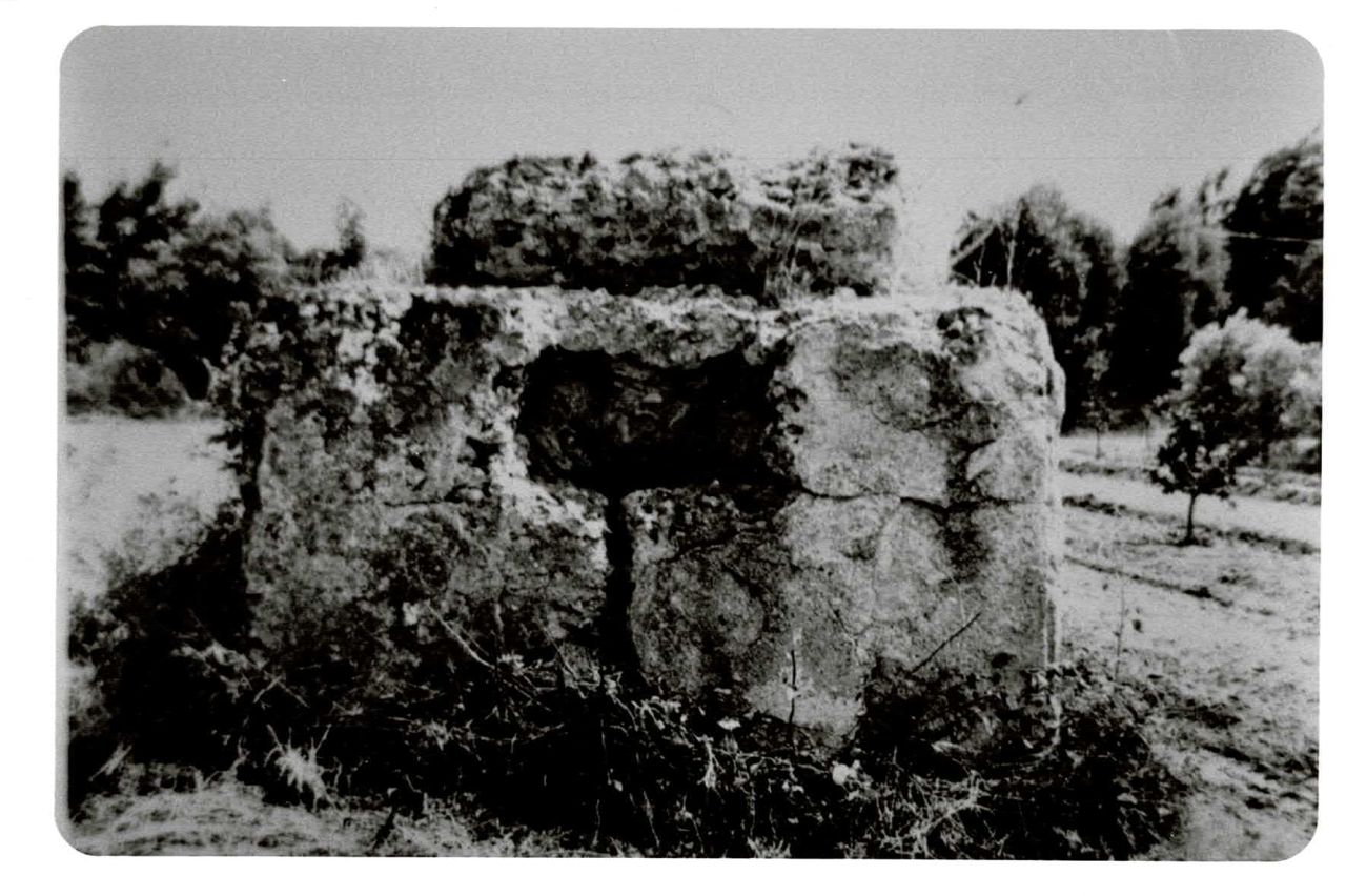 Scolacium, monumento funerario n. 3 della necropoli NW (monumento funerario, area ad uso funerario) - Borgia (CZ)  (prima metà I d.C)