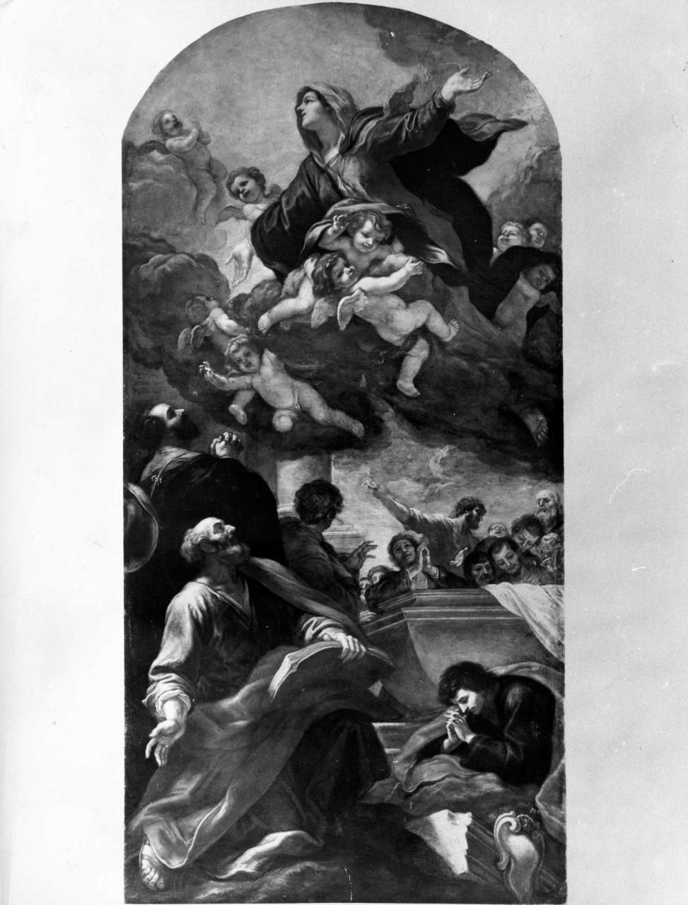 assunzione della Madonna (dipinto) di Franceschini Baldassarre detto il Volterrano (fine/ inizio sec. XVII)