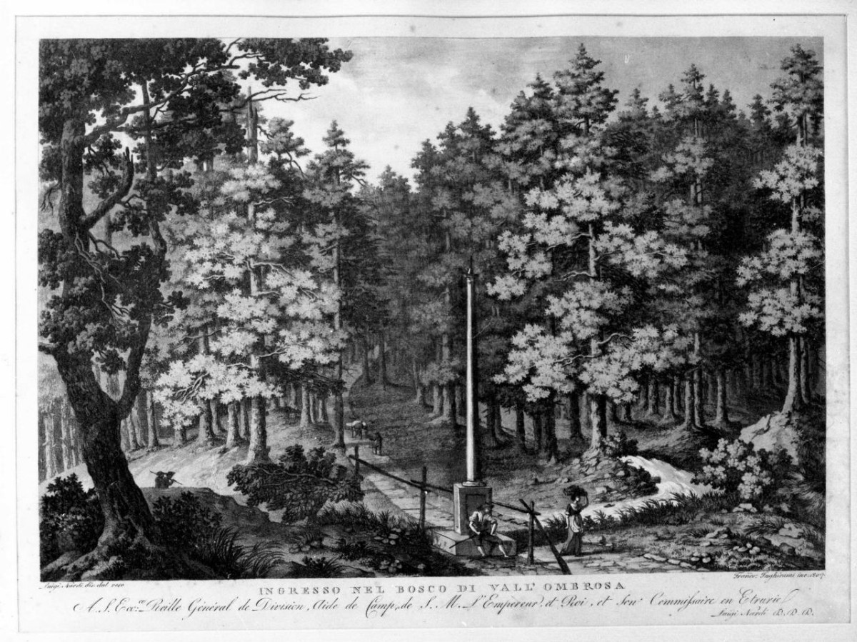 Ingresso nel Bosco di Vallombrosa, paesaggio montano (stampa) di Nardi Luigi, Inghirami Francesco (sec. XIX)