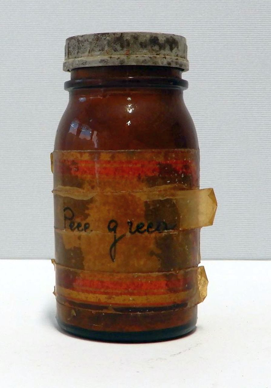 composto di origine vegetale di Farmacia e Laboratorio chimico farmaceutico Giovanni Parenti Siena (metà XX)