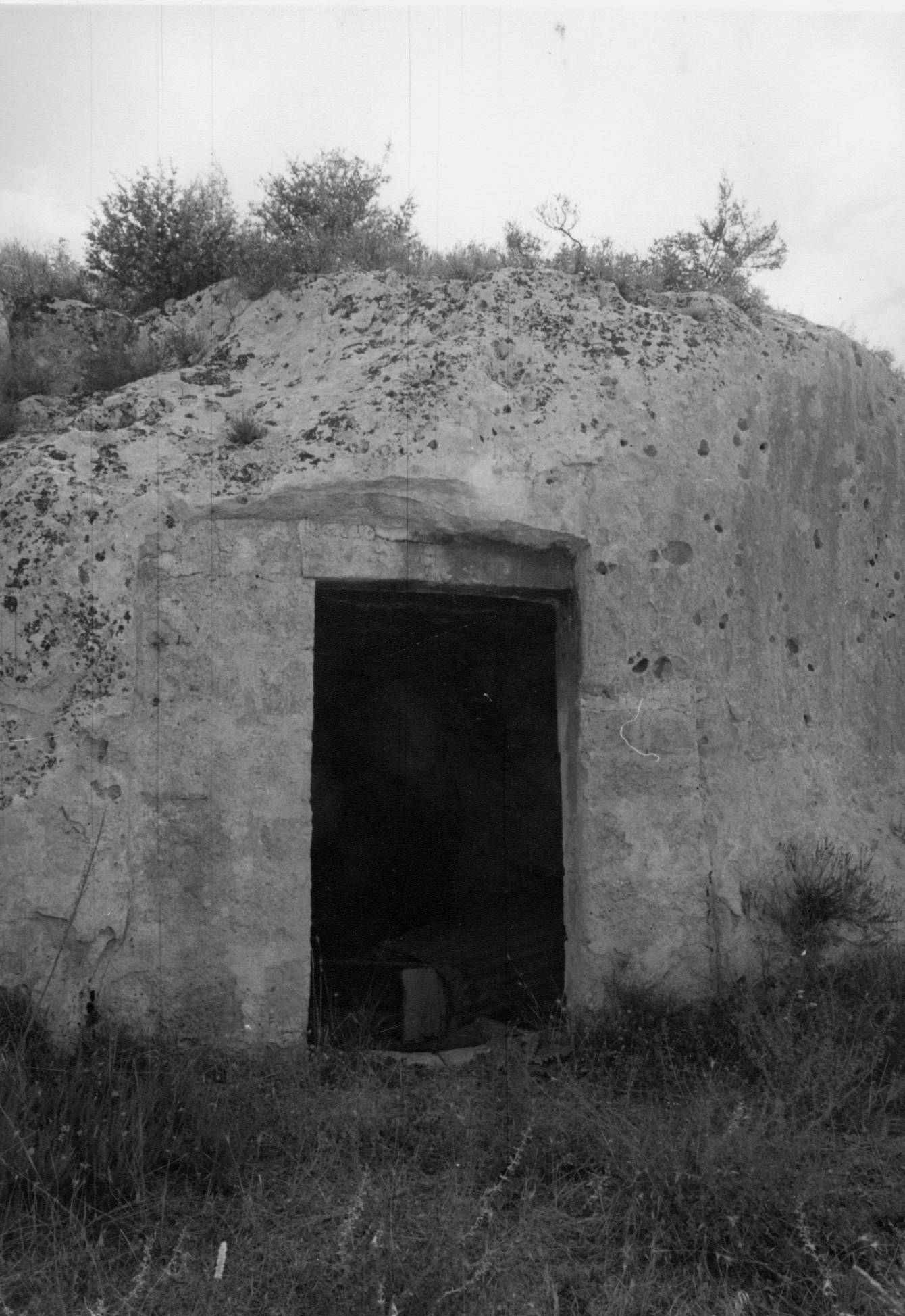 Cripta del Vitisciulo (chiesa, rupestre) - Matera (MT)  (XV, secondo quarto; XX)