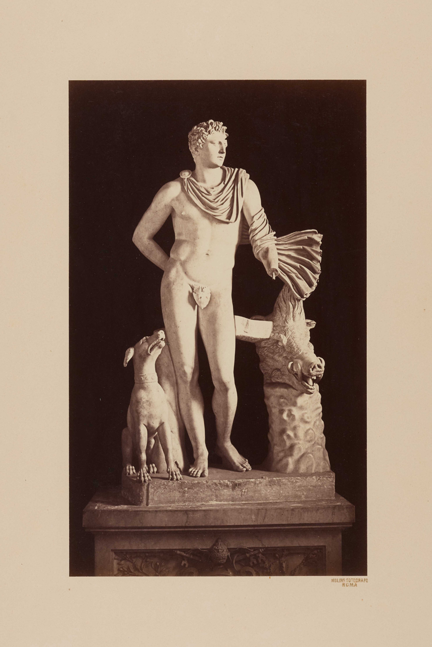 Arte classica - Meleagro - Scultura (positivo) di Molins, Pompeo (XIX)