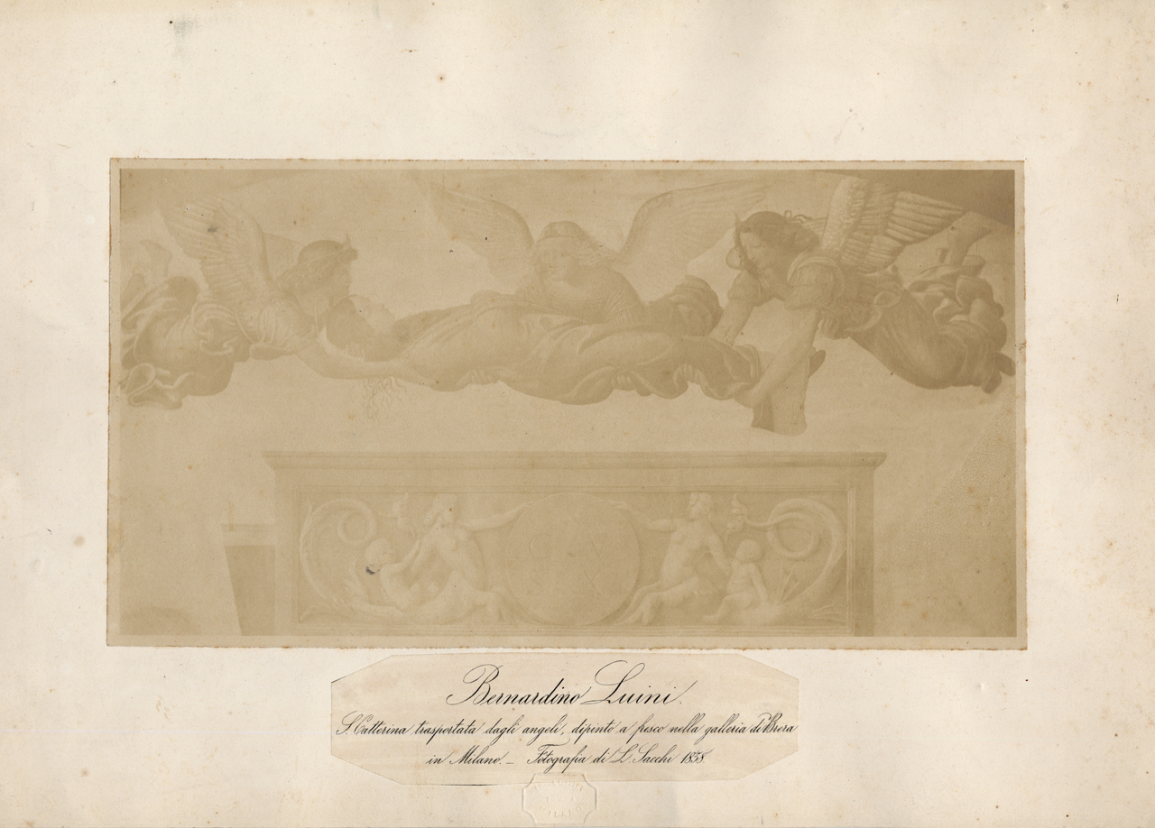 Luini, Bernardino. S. Caterina d'Alessandria trasportata dagli angeli (positivo) di Sacchi, Luigi (XIX)