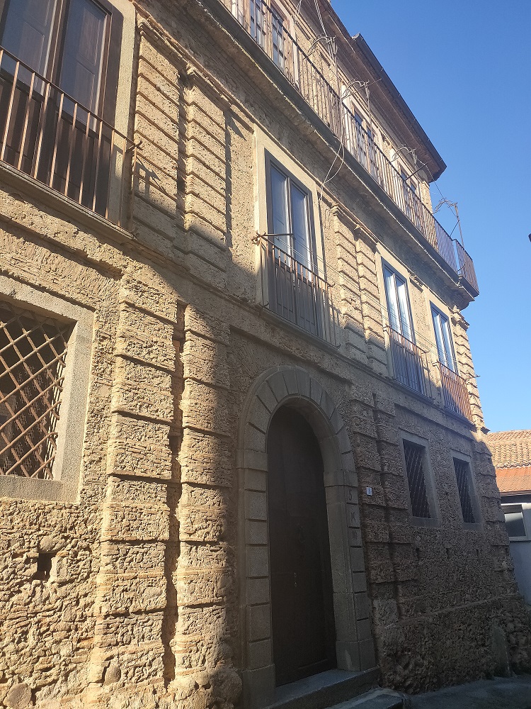 Palazzo Proto-Naso (palazzo, gentilizio) - Nicotera (VV)  (XI; XI; XVIII; XIX)