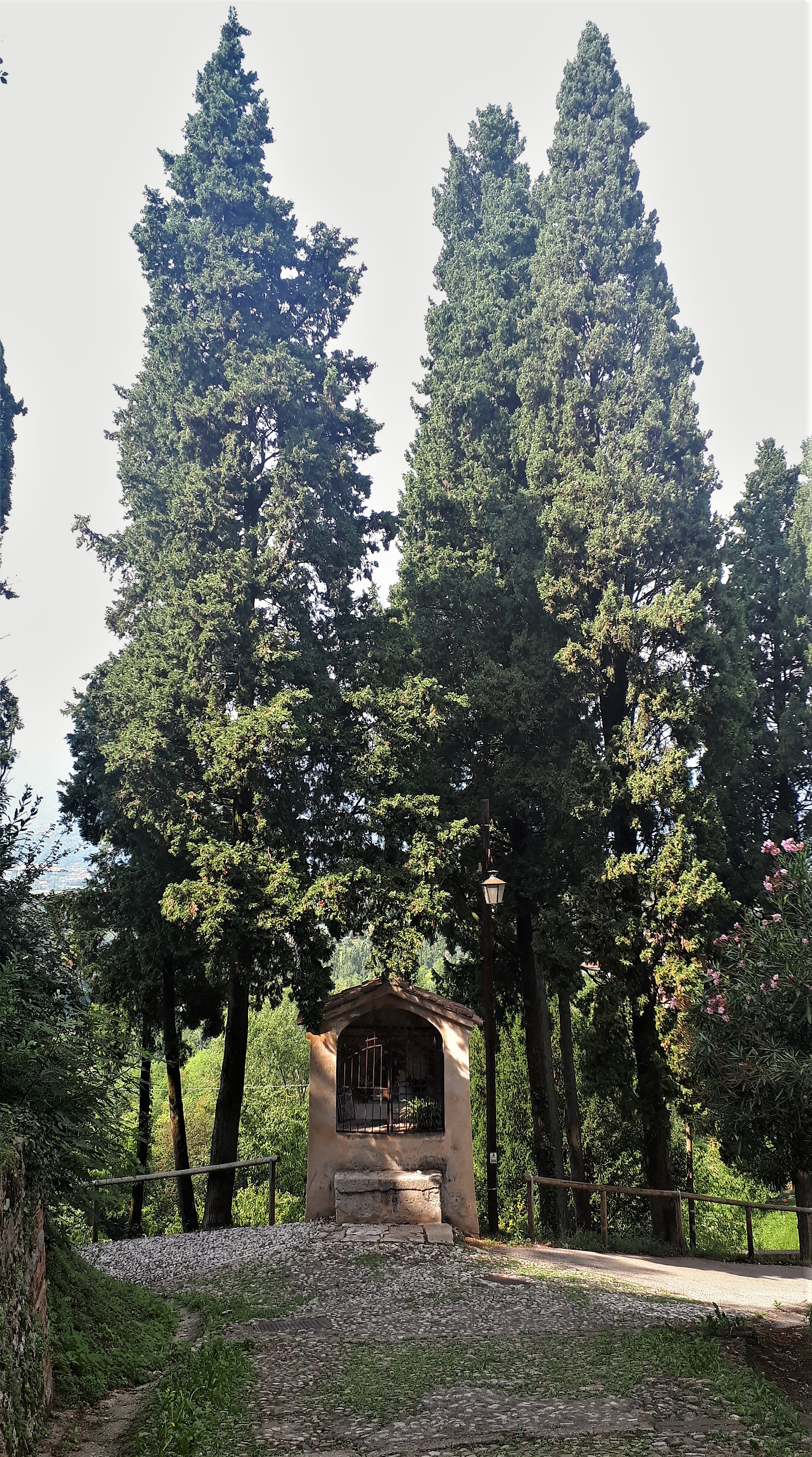 Parco della Rimembranza di Asolo (parco, commemorativo ai caduti della prima guerra mondiale) - Asolo (TV) 