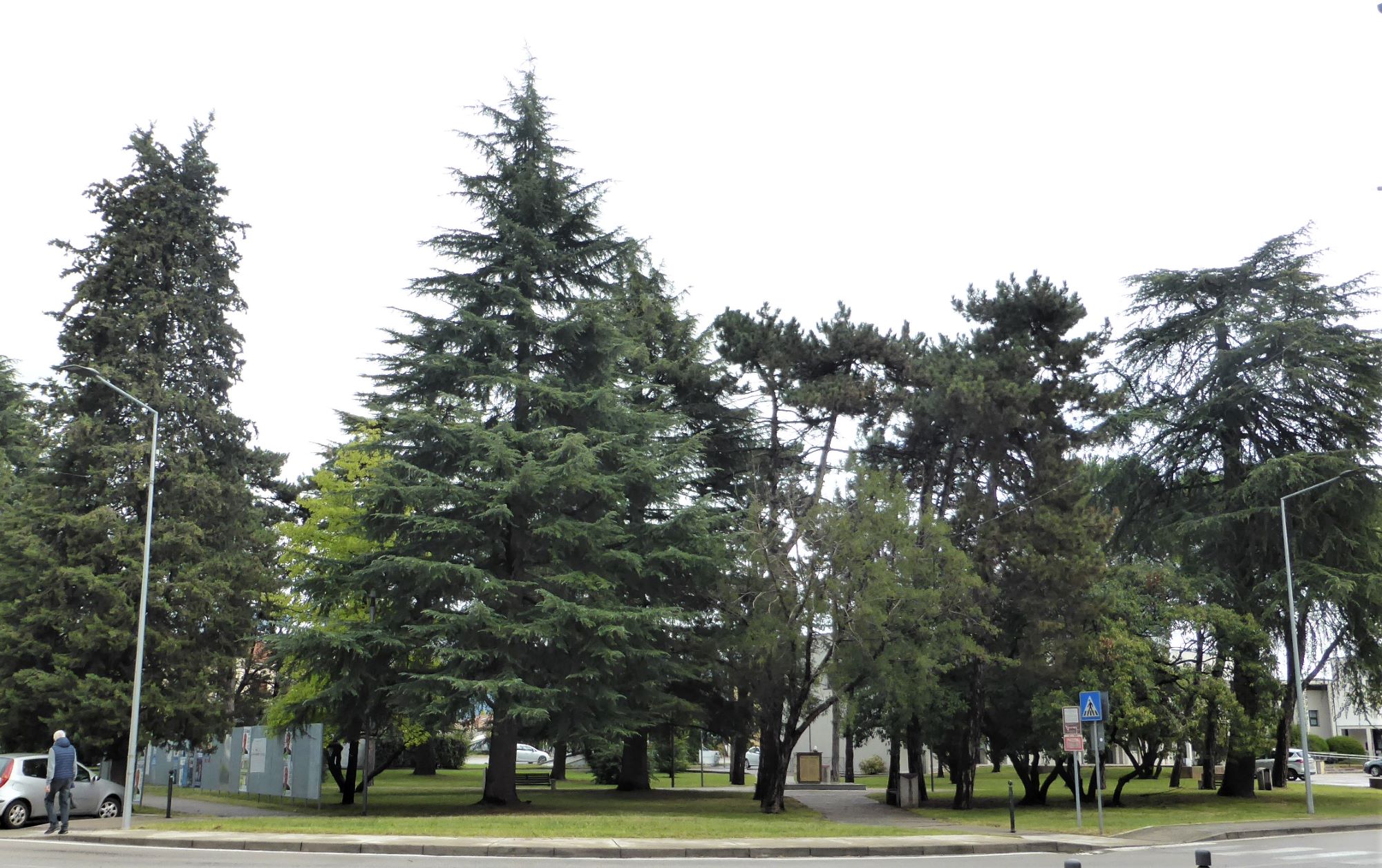 Parco della Rimembranza di San Fior (parco, commemorativo ai caduti della prima e seconda guerra mondiale) - San Fior (TV) 