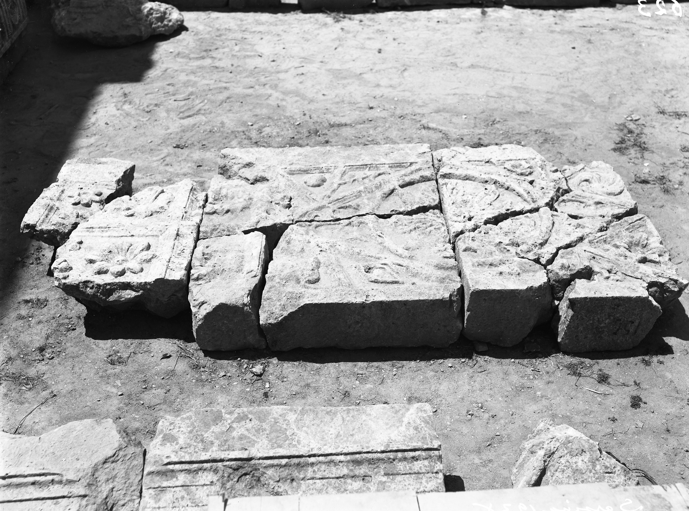 Sarsina. Museo Nazionale. Soffitto (lastra) di Anonimo (prima metà XX)