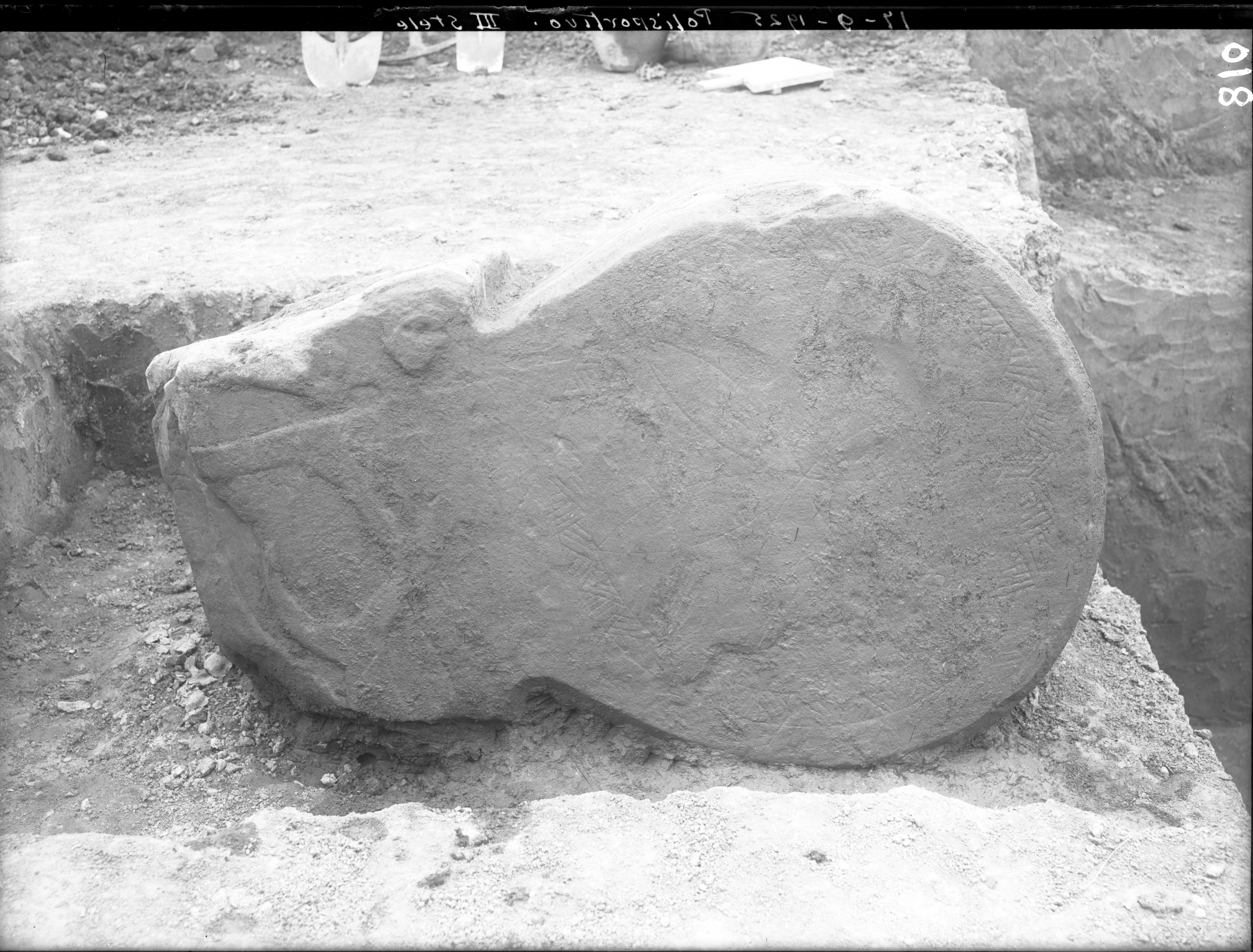 Bologna. Museo civico (lastra) di Anonimo (prima metà XX)