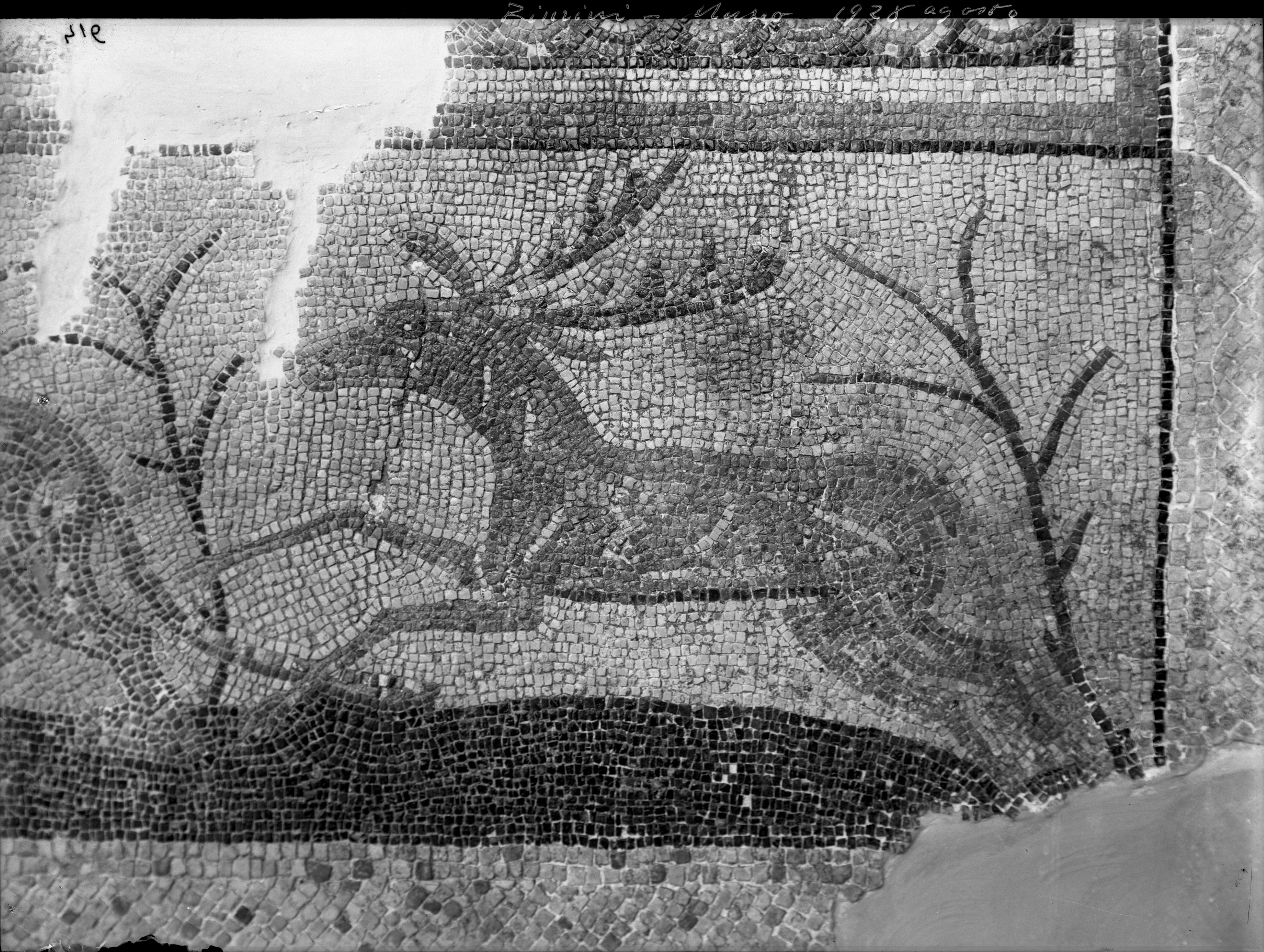 Rimini. Museo archeologico (lastra) di Anonimo (prima metà XX)