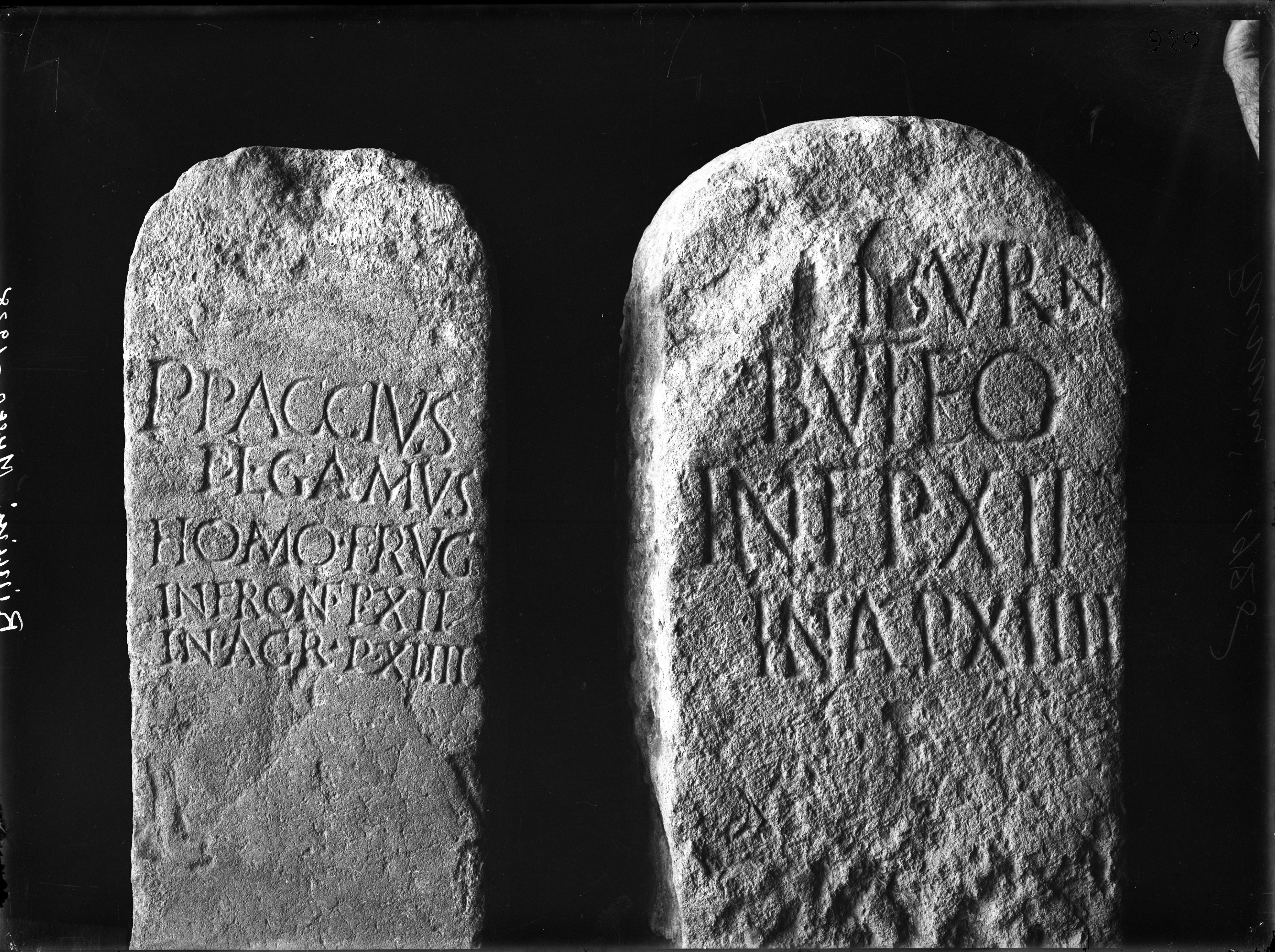 Rimini. Museo archeologico (lastra) di Anonimo (prima metà XX)