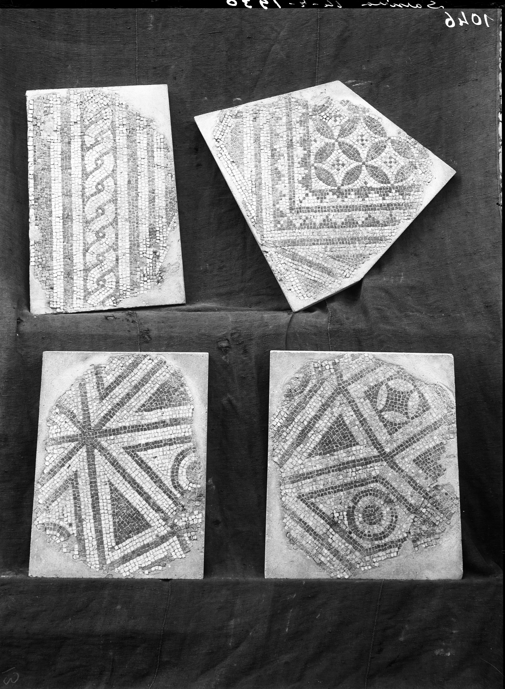 Sarsina. Museo Nazionale (lastra) di Anonimo (prima metà XX)