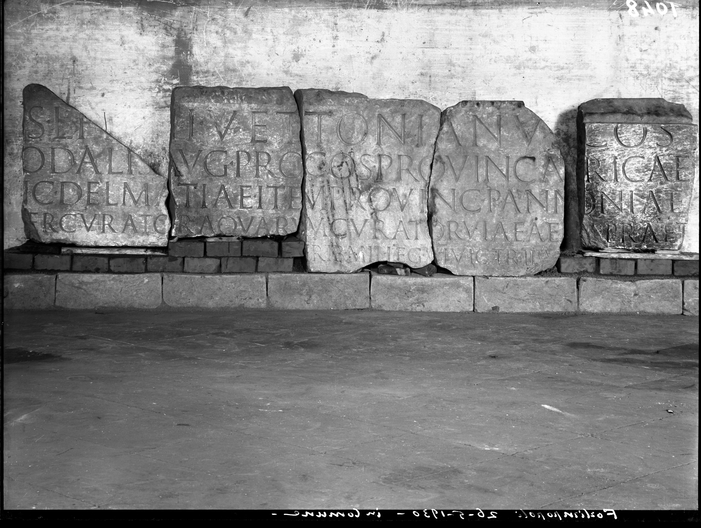 Forlimpopoli. Museo civico (lastra) di Anonimo (prima metà XX)