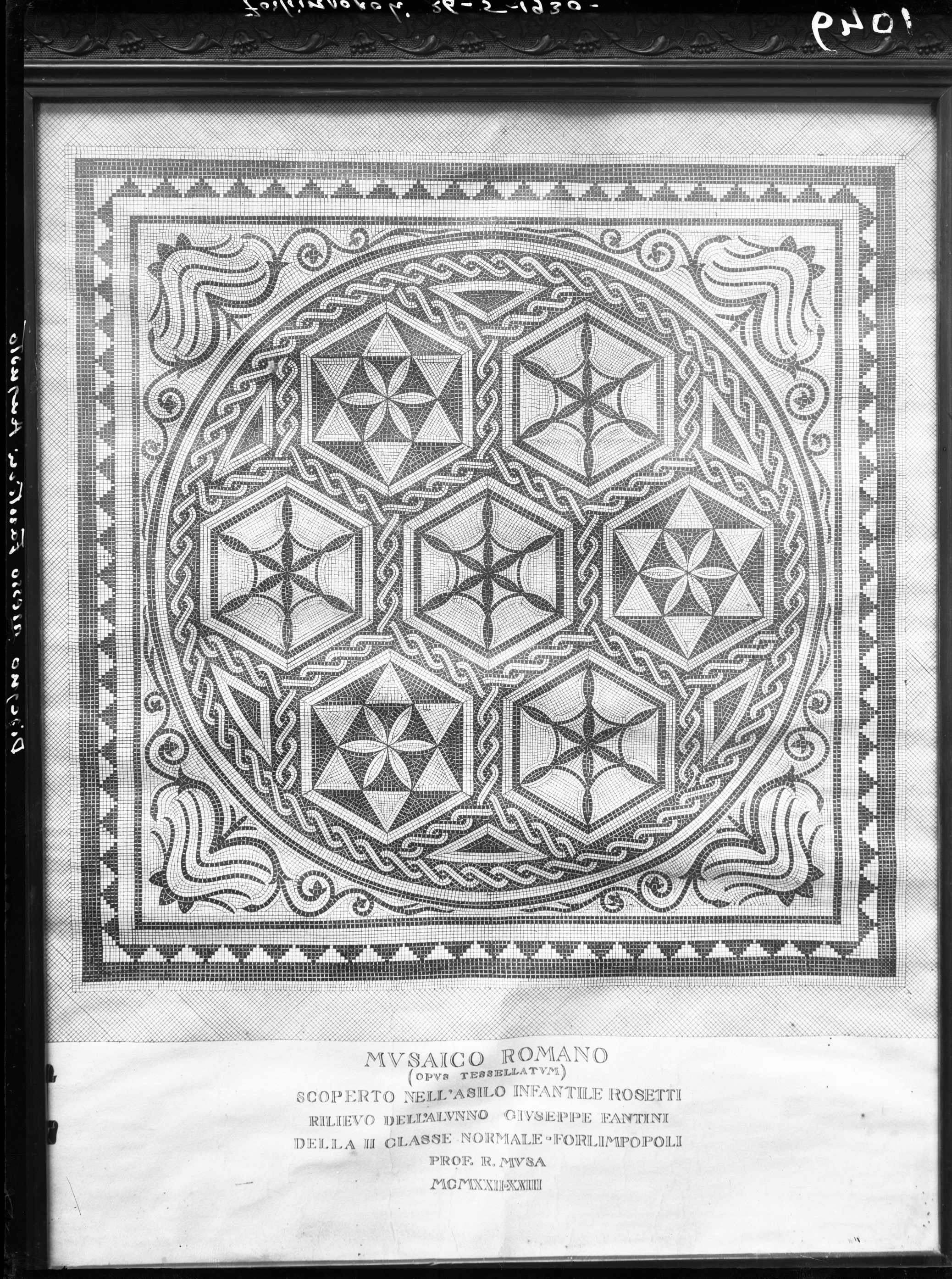 Forlimpopoli. Museo civico (lastra) di Anonimo (prima metà XX)